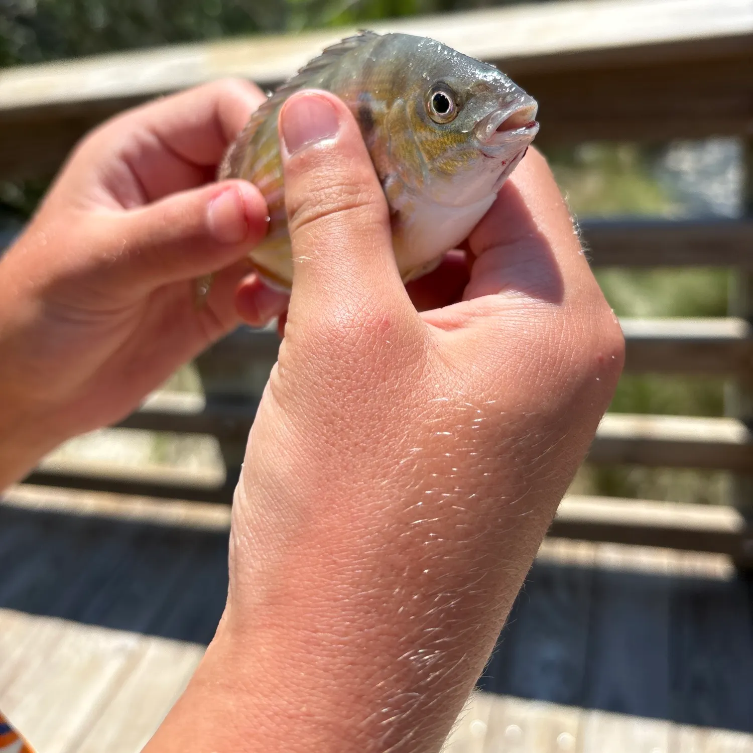 catch