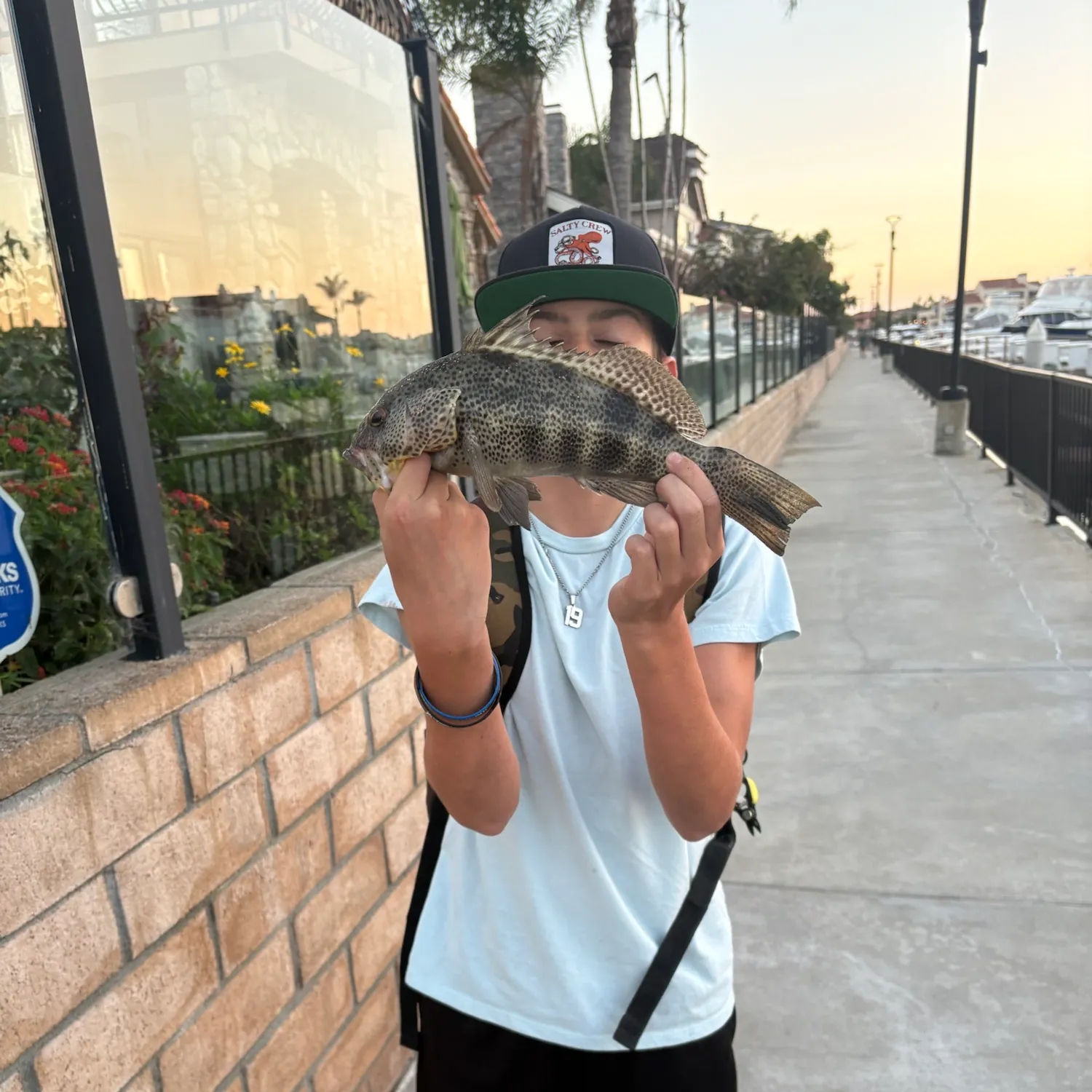 Spotted sand bass caught on Fishbrain
