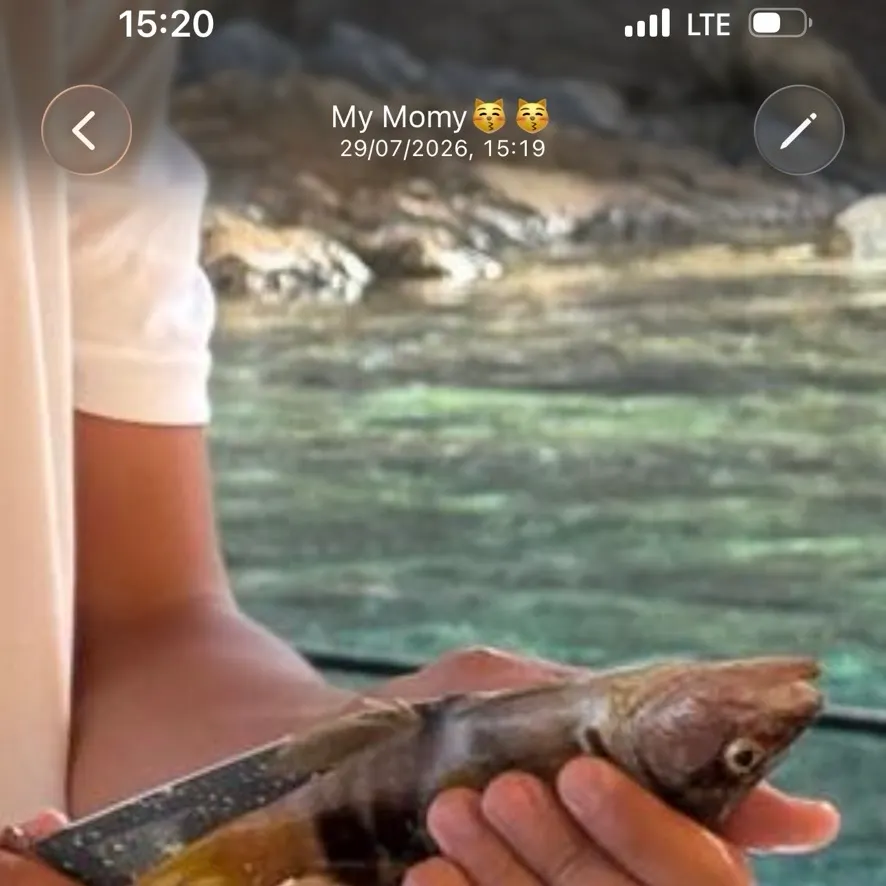 The most recent Black redhorse catches on Fishbrain