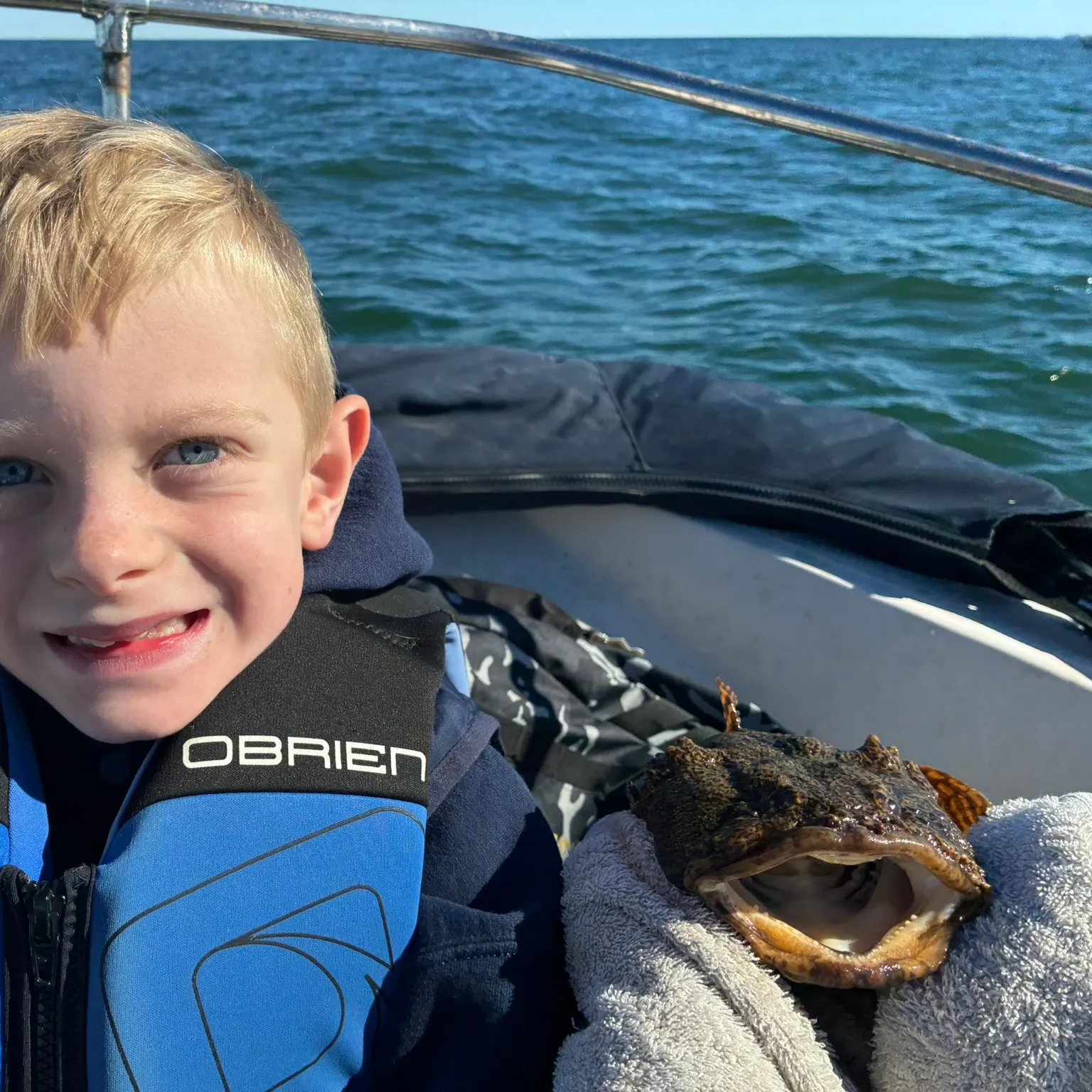 The most recent Boulenger's toadfish catches on Fishbrain