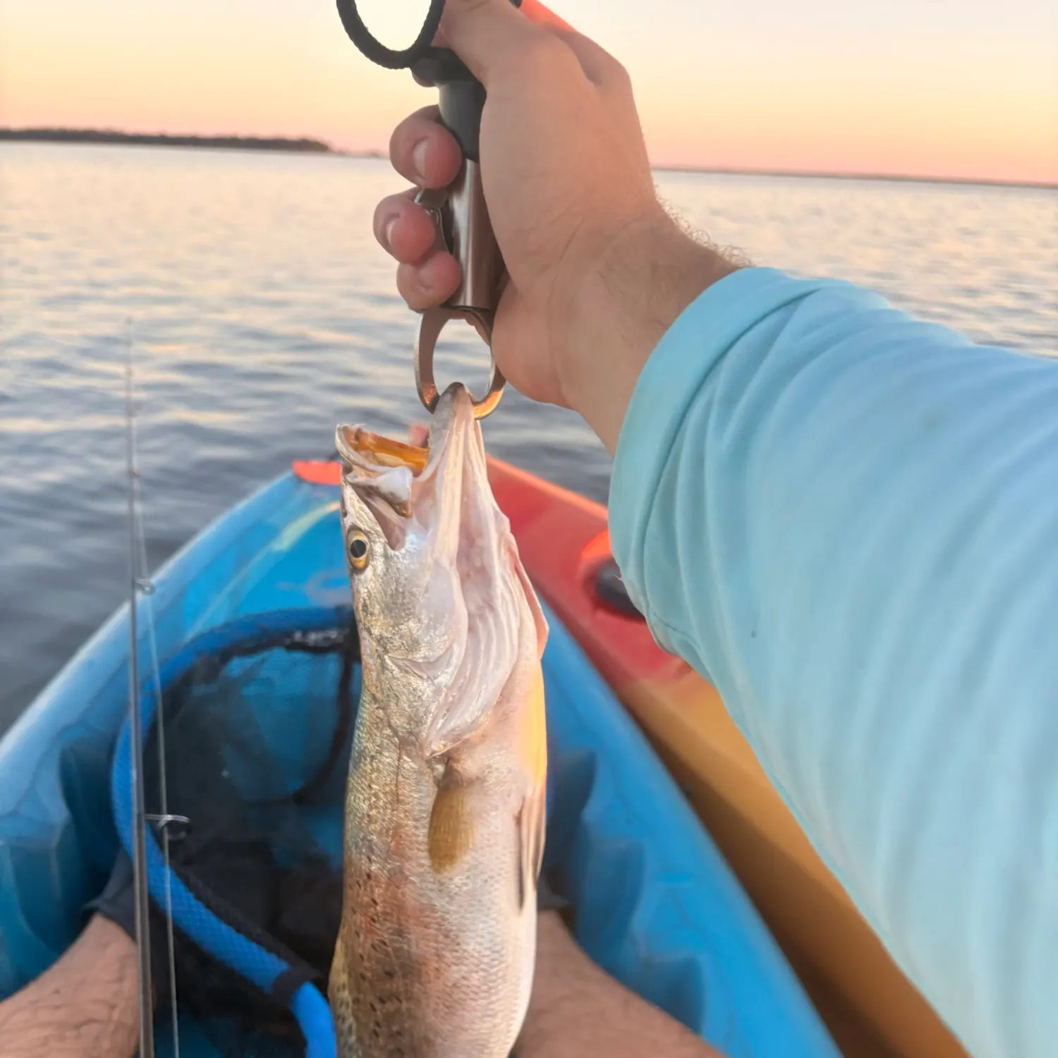Spotted seatrout caught on Fishbrain