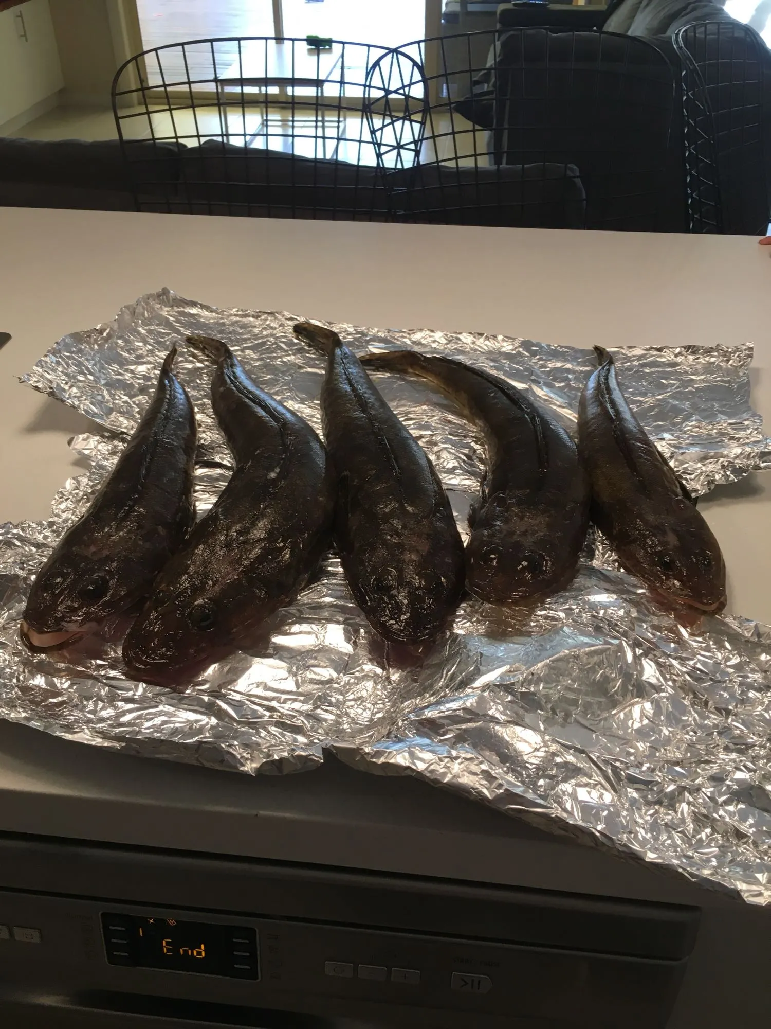 Post image from bthomas8619