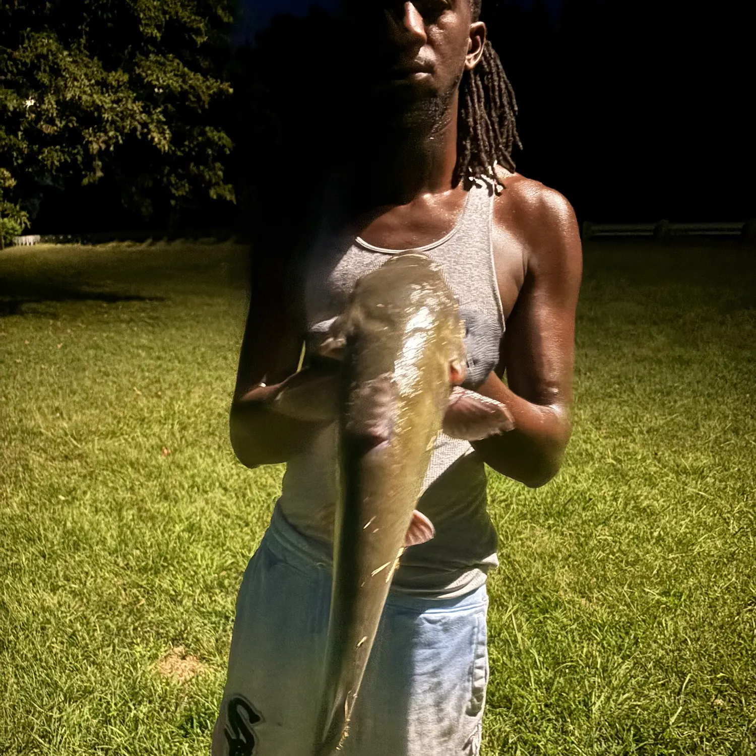 Channel catfish caught on Fishbrain