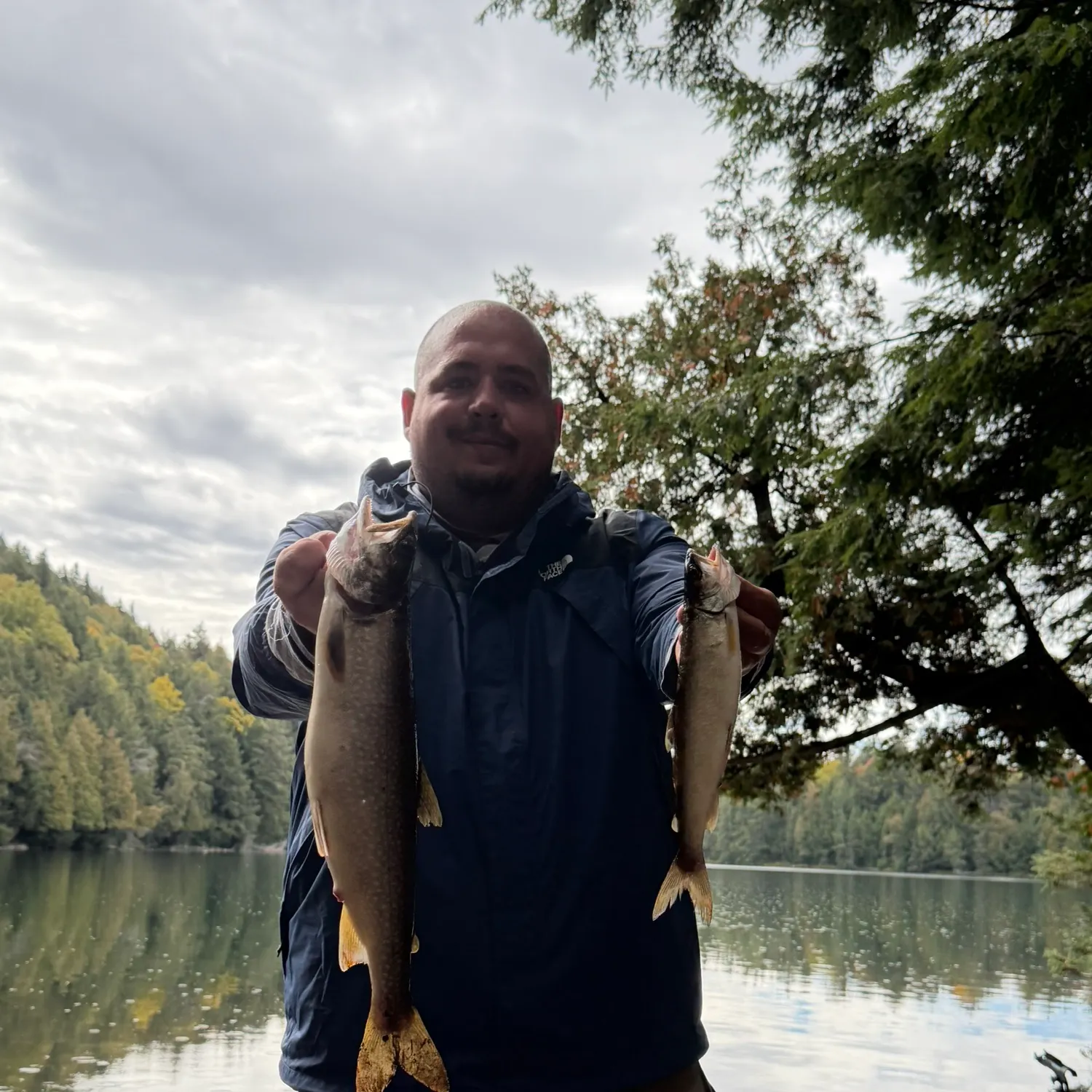 Lake char caught on Fishbrain