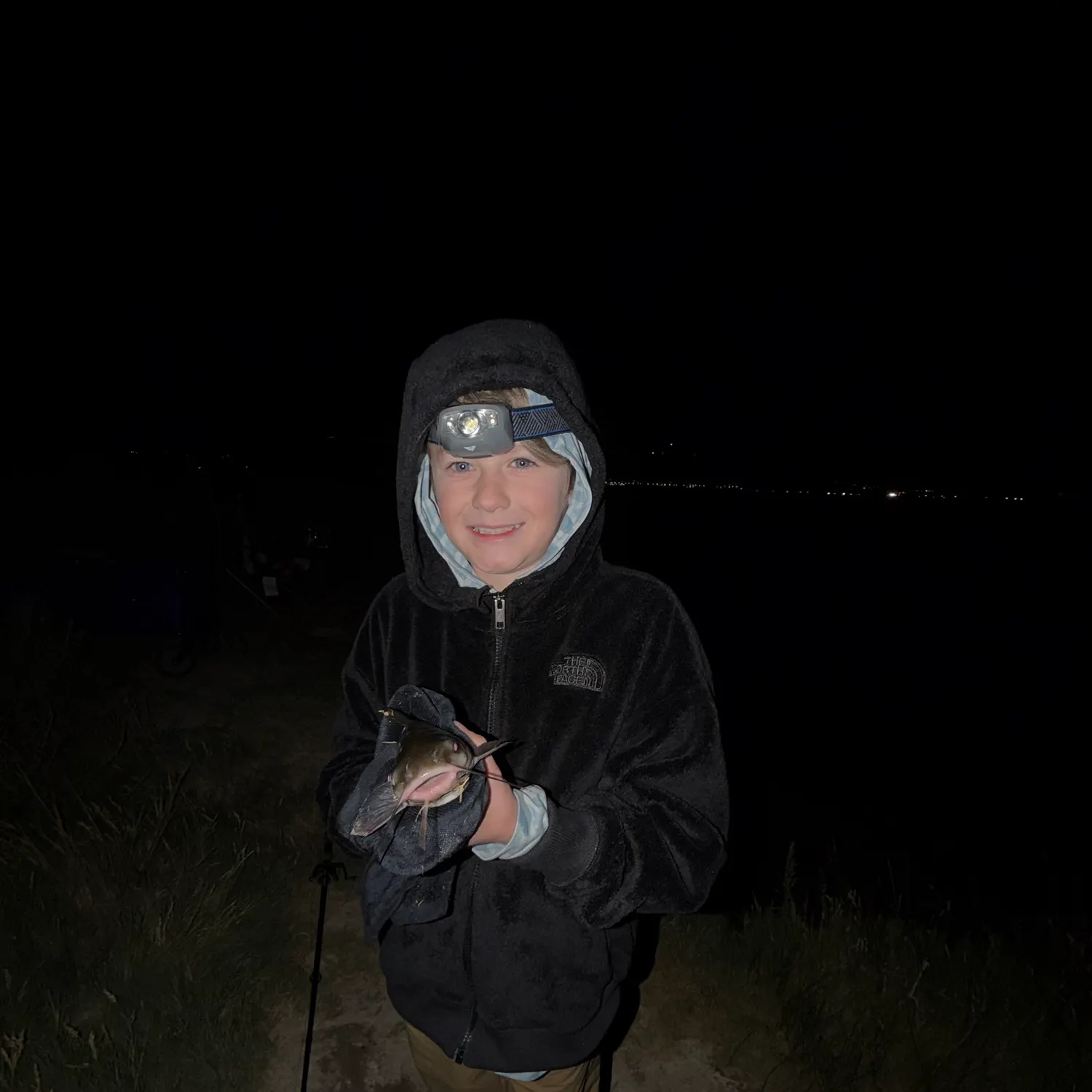 Channel catfish caught on Fishbrain