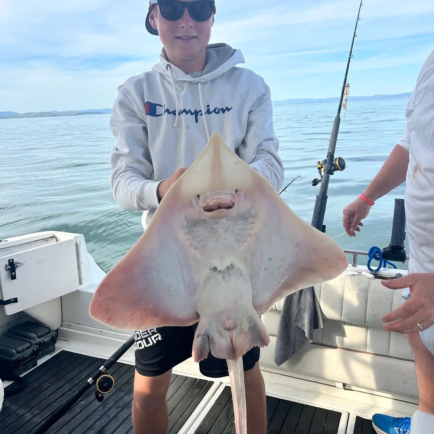 The most recent Big skate catches on Fishbrain