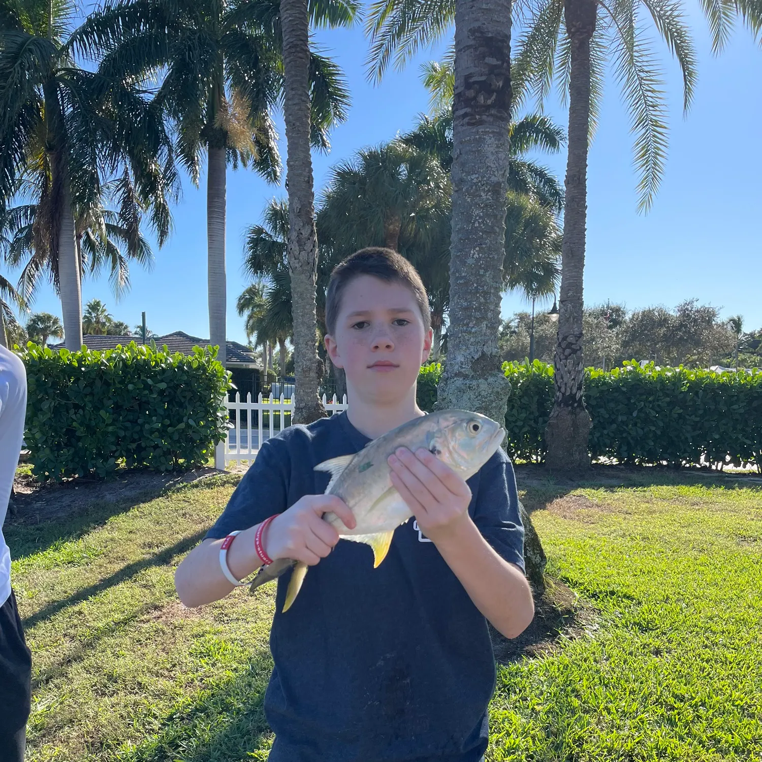 The most recent Crevalle jack catches on Fishbrain