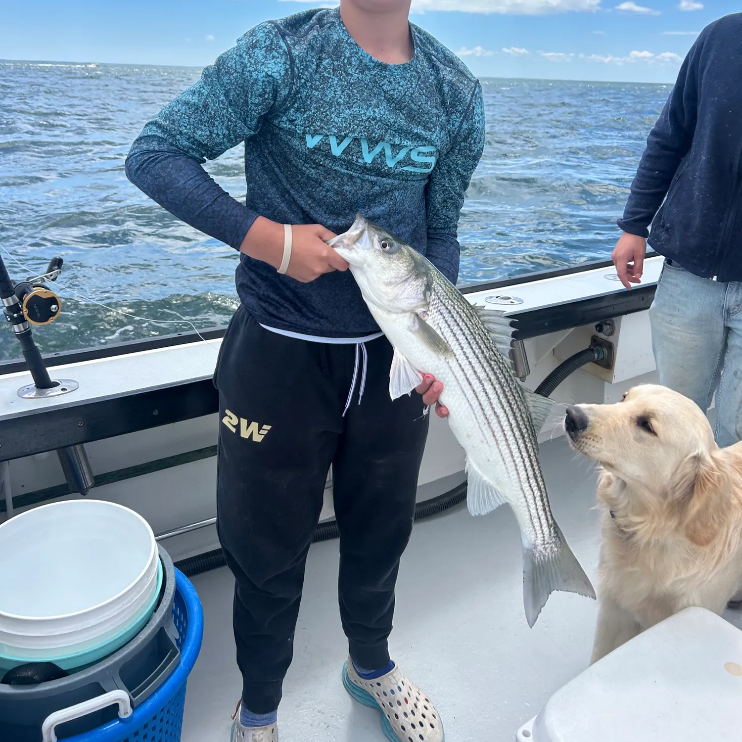 angler catch