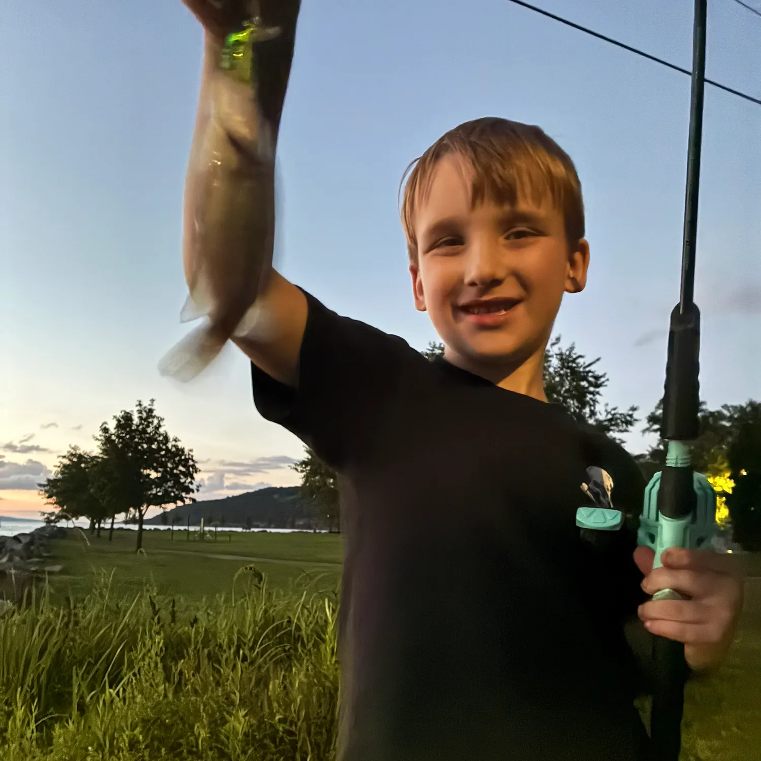 Rock bass caught on Fishbrain