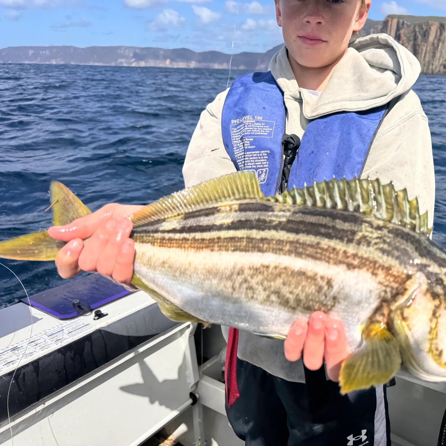 The most recent Striped trumpeter catches on Fishbrain