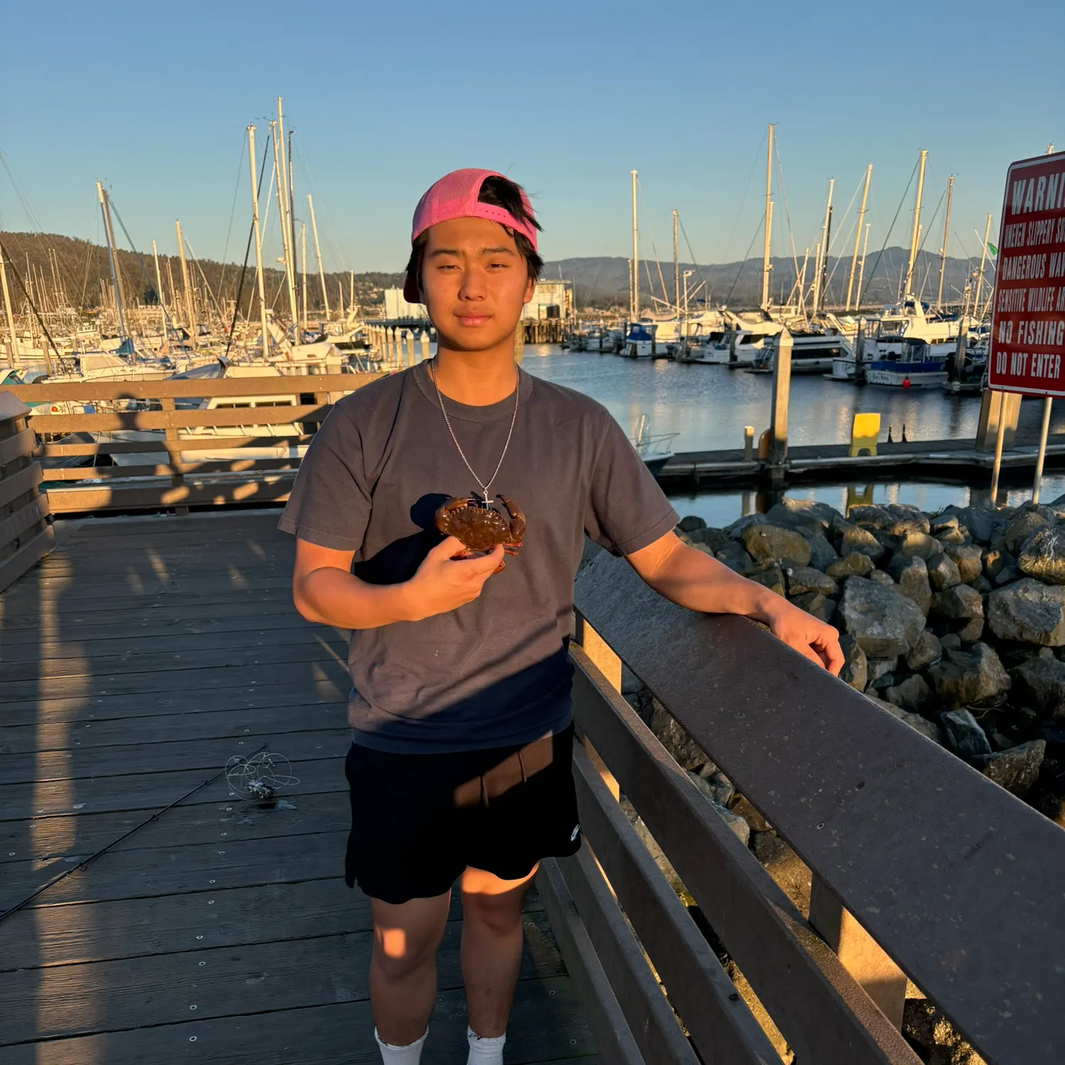 The most recent Red rock crab catches on Fishbrain