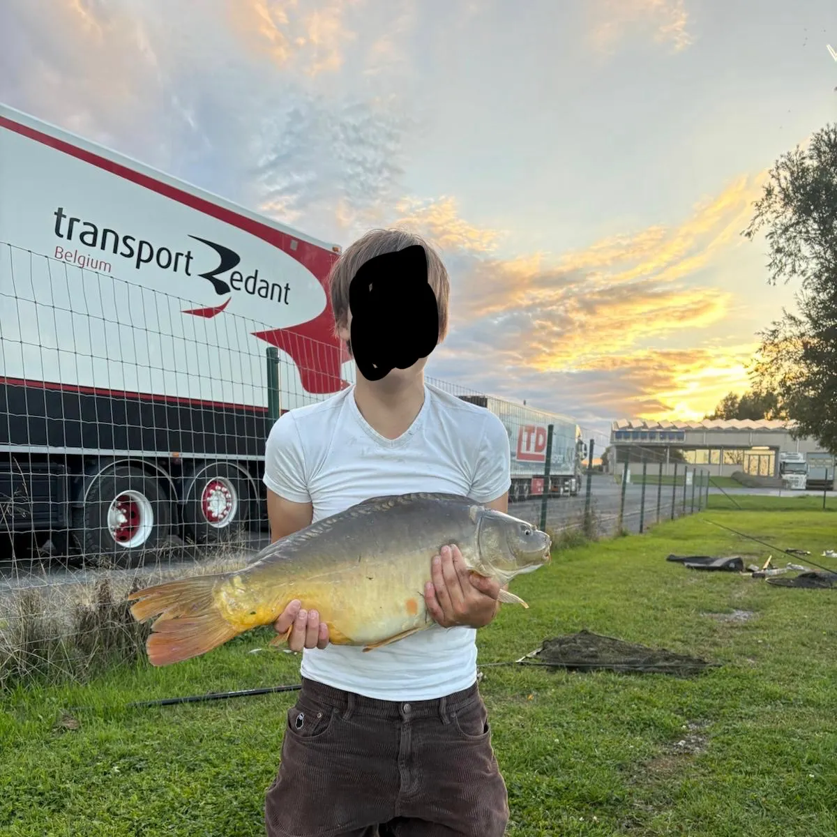 Leather carp caught on Fishbrain