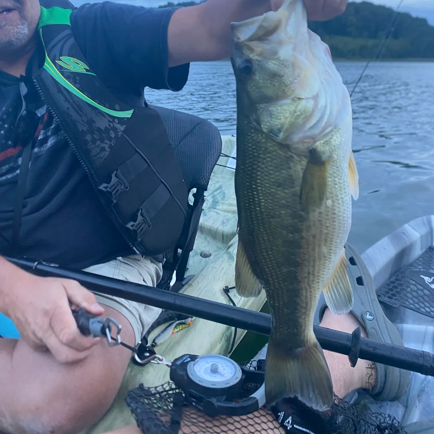 Largemouth bass caught on Fishbrain