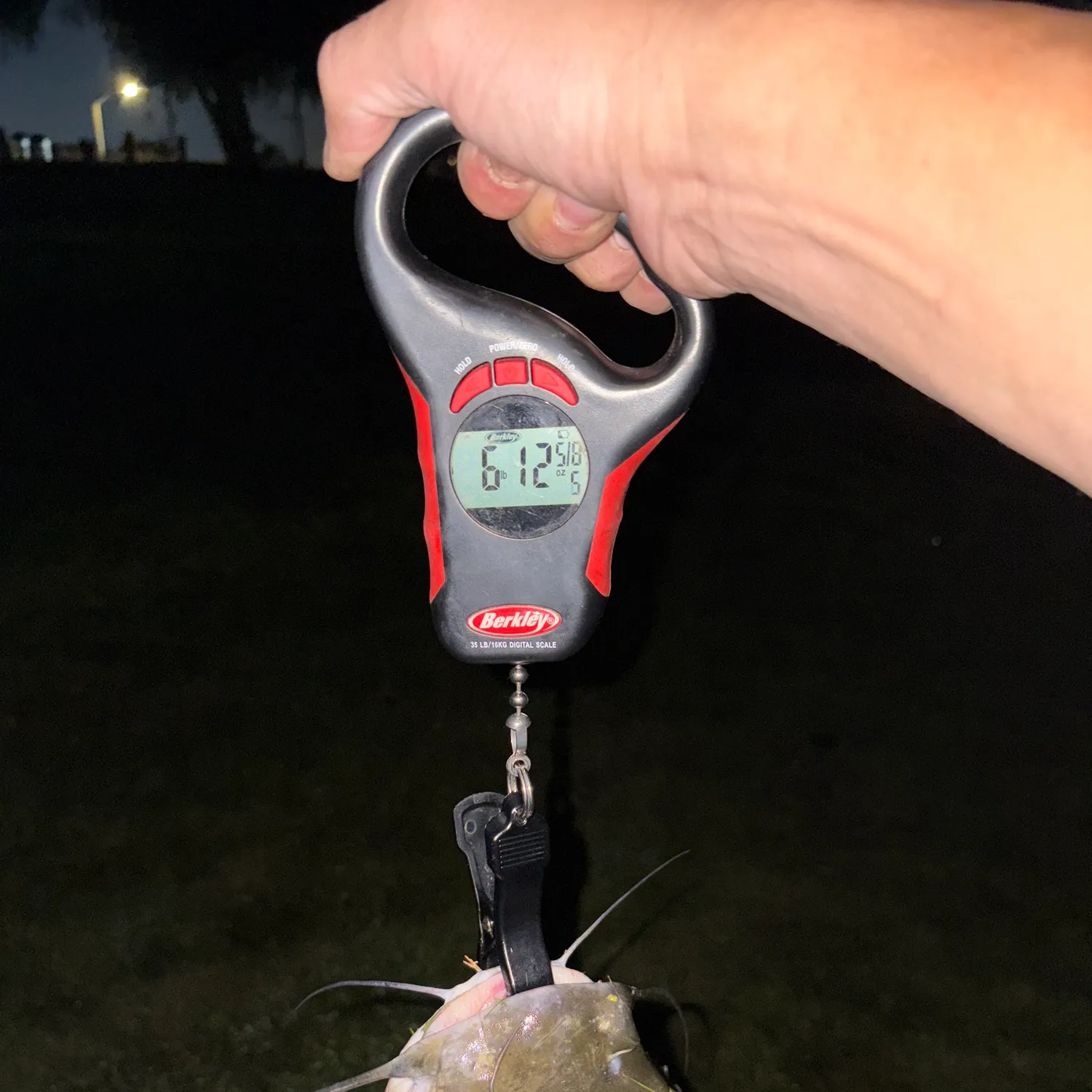 Channel catfish caught on Fishbrain