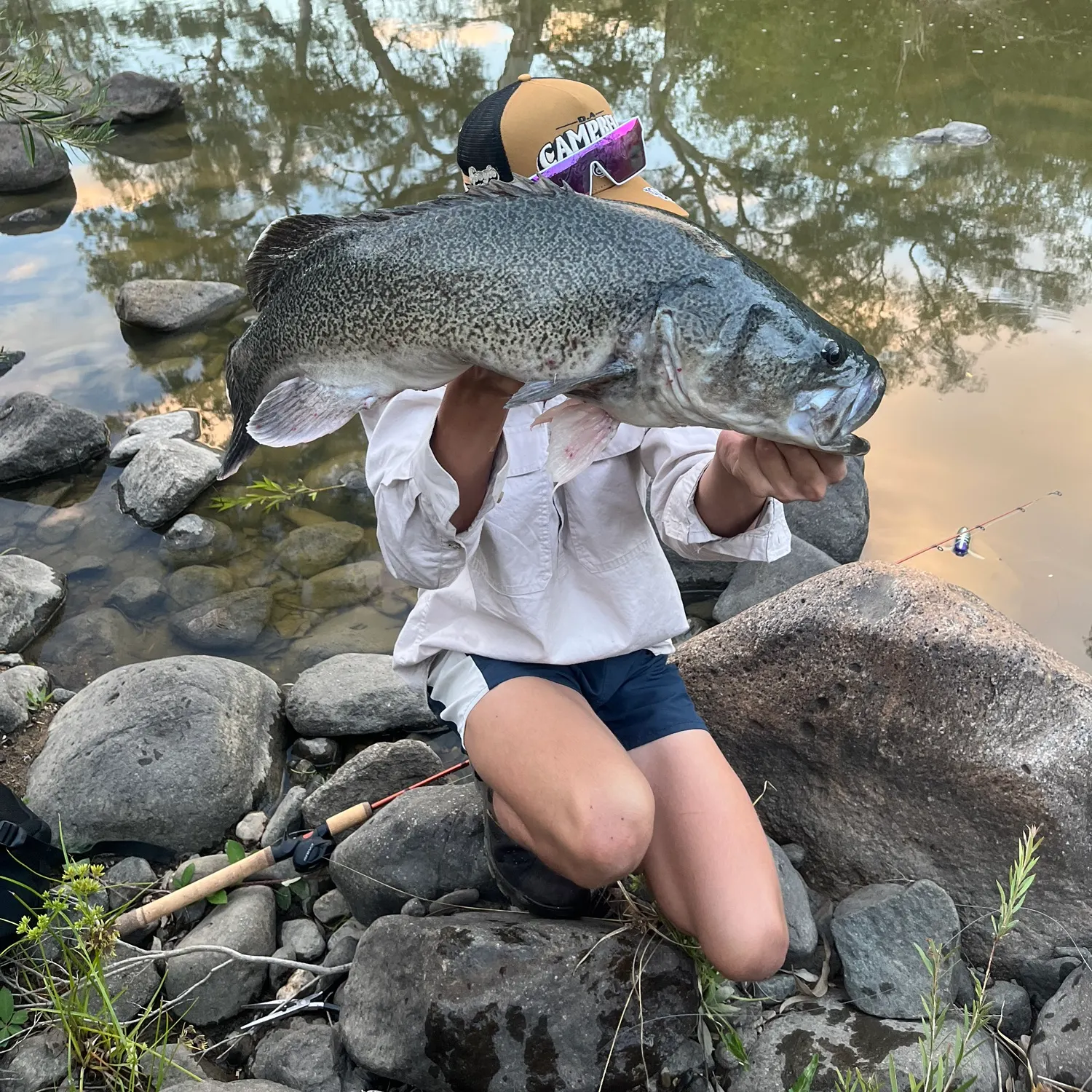 The most recent Murray cod catches on Fishbrain