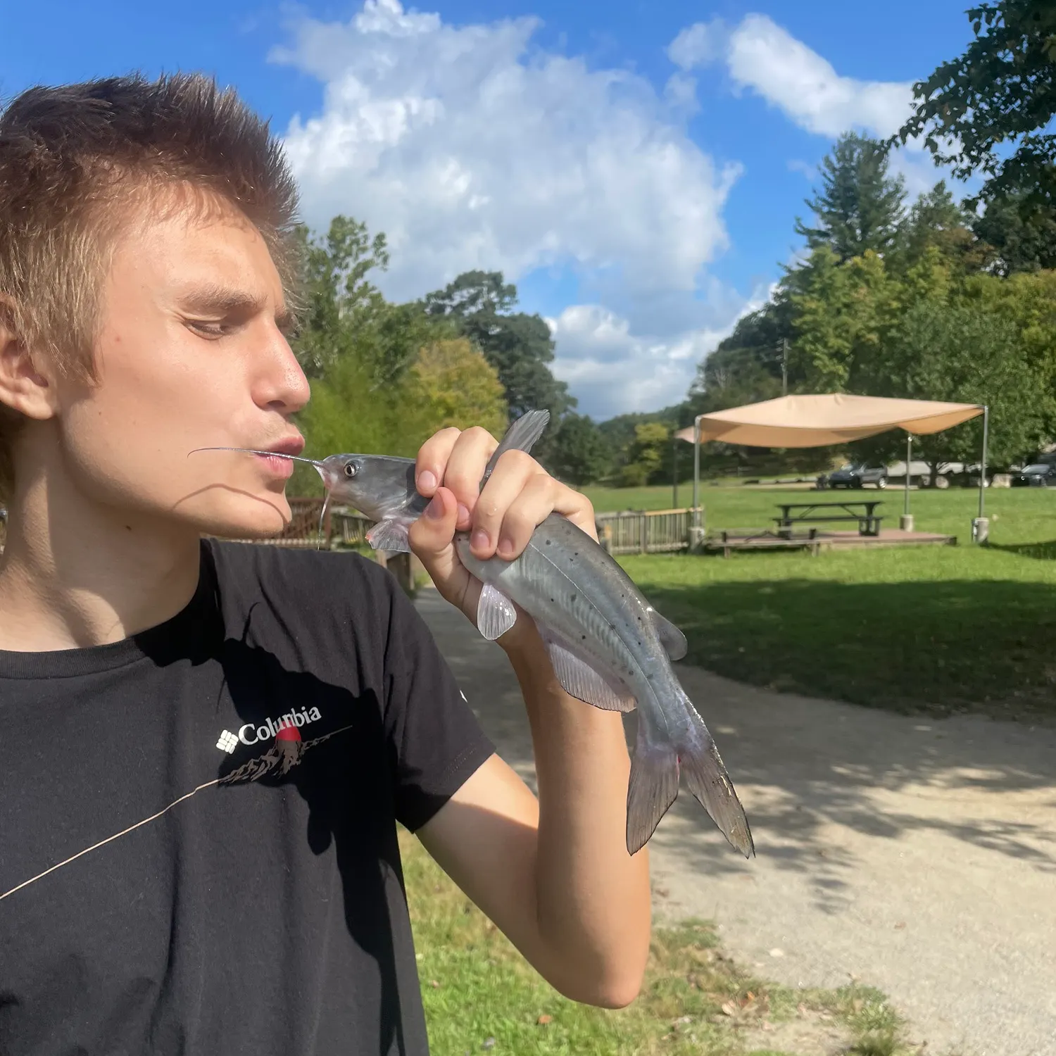 Channel catfish caught on Fishbrain