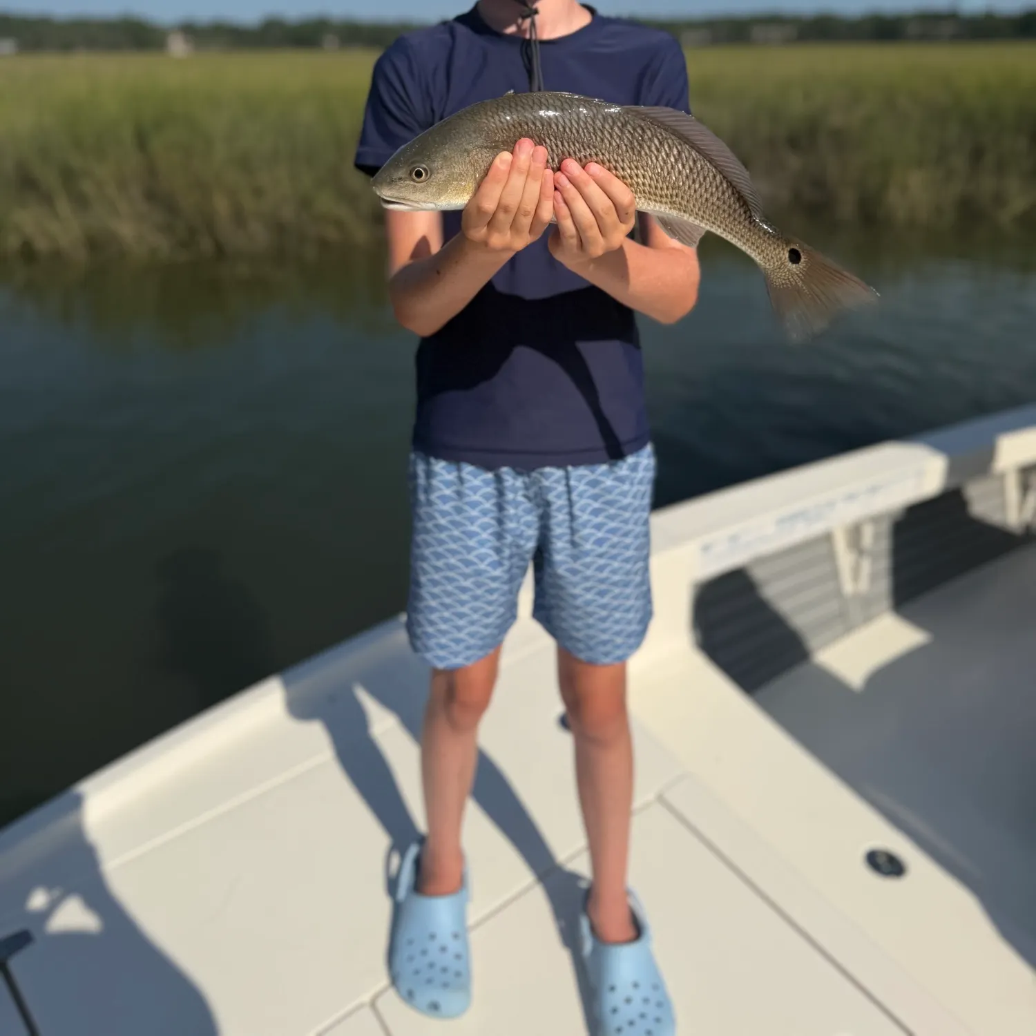 Red drum caught on Fishbrain
