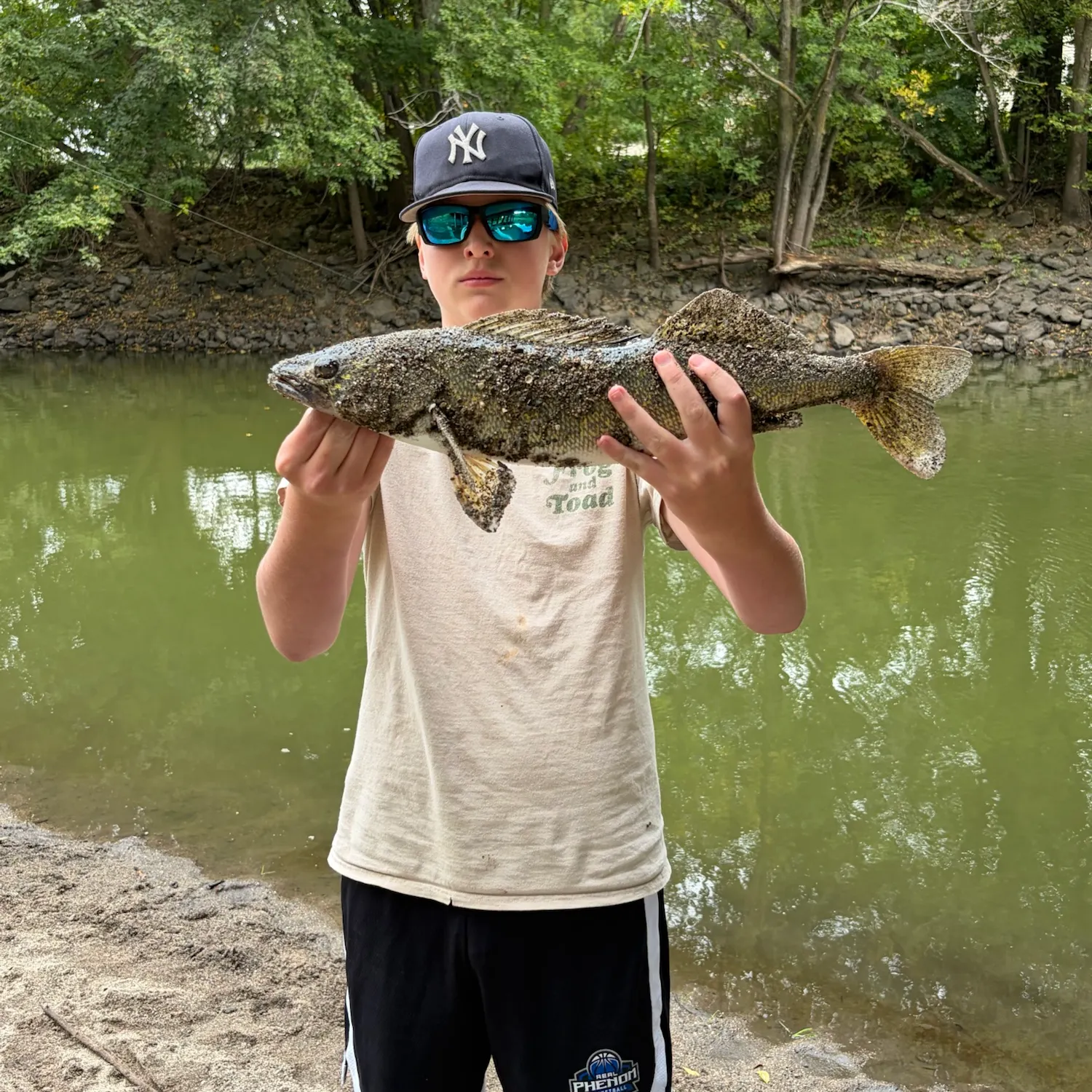 The most recent Walleye catches on Fishbrain