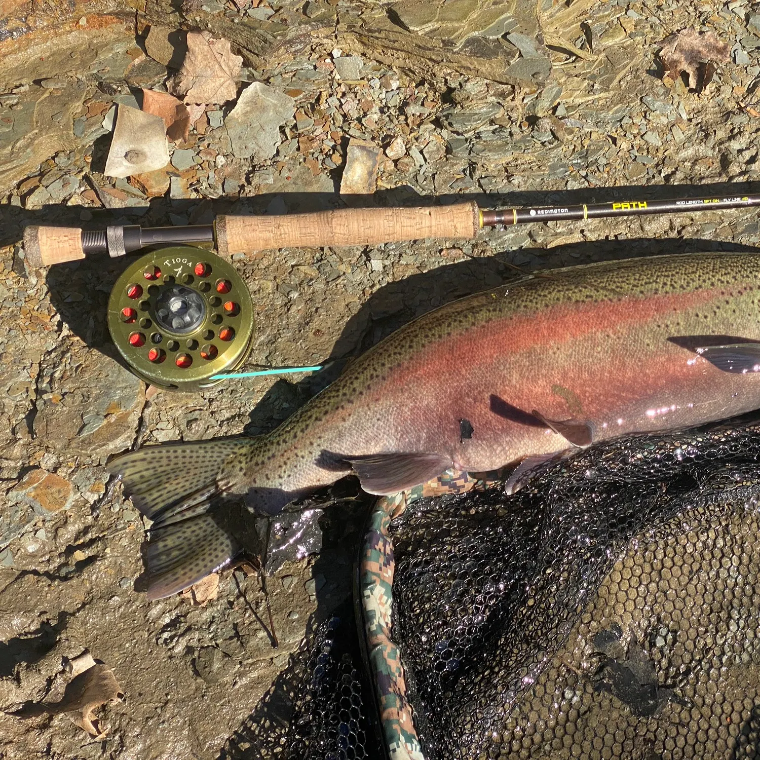 angler catch