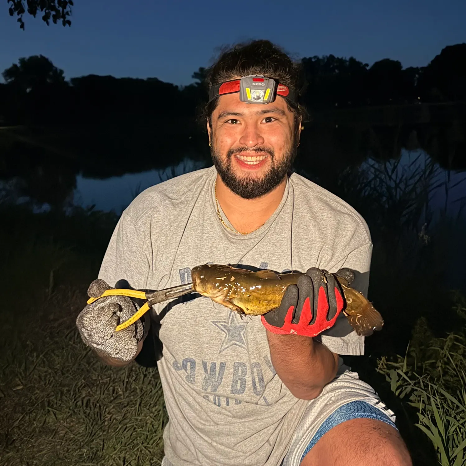 Yellow bullhead caught on Fishbrain