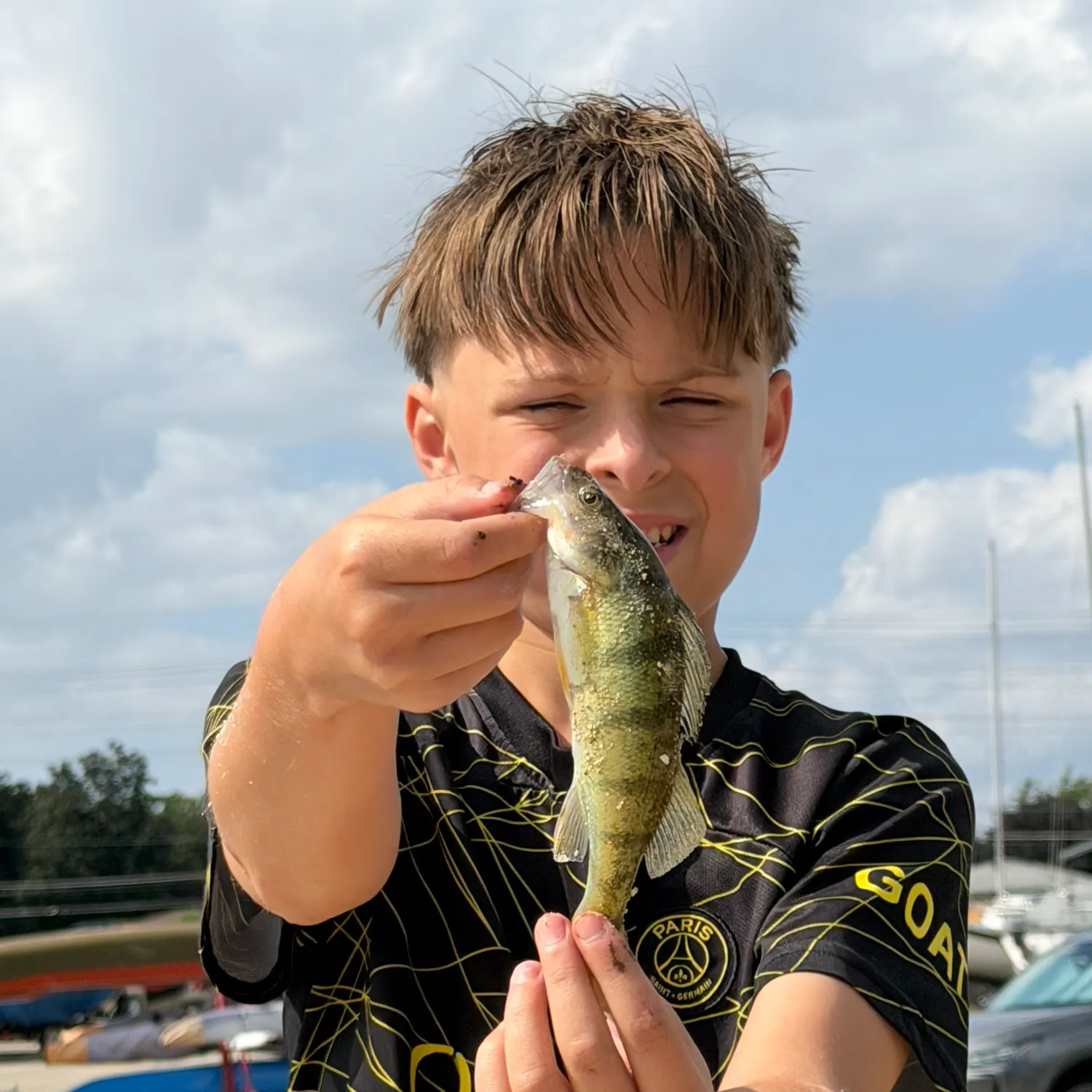 Yellow perch caught on Fishbrain