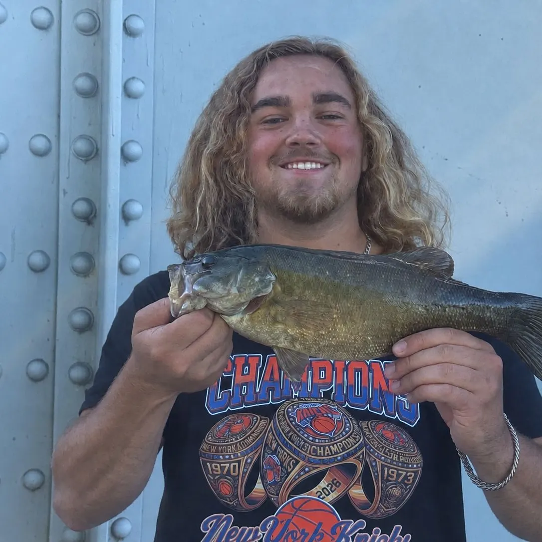 Smallmouth bass caught on Fishbrain