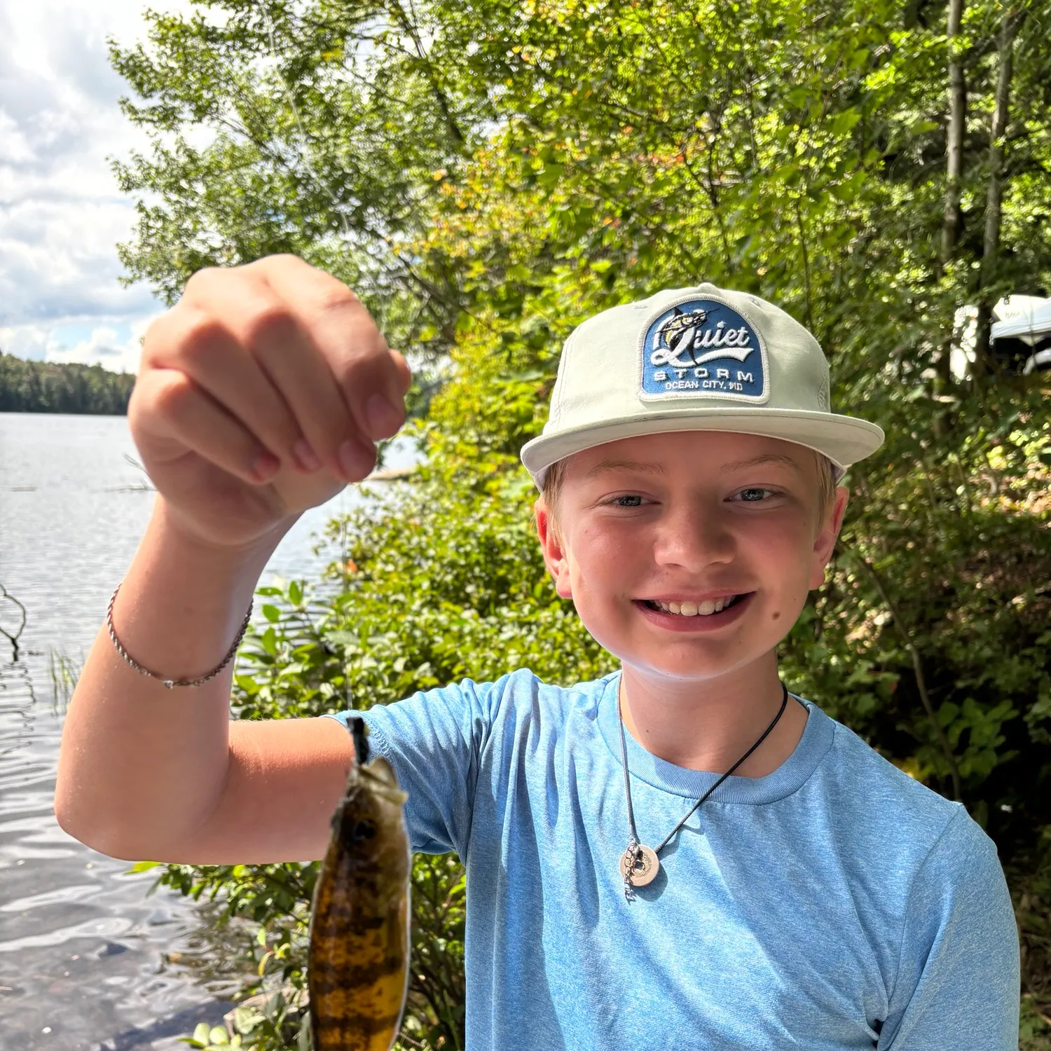 Yellow perch caught on Fishbrain