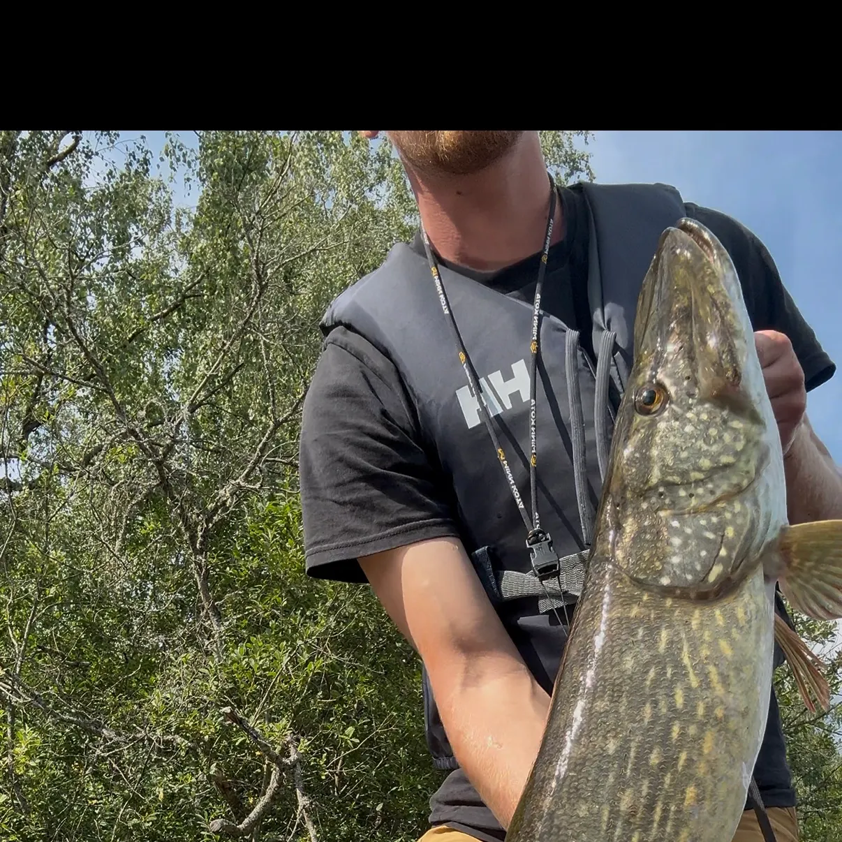 Northern pike caught on Fishbrain