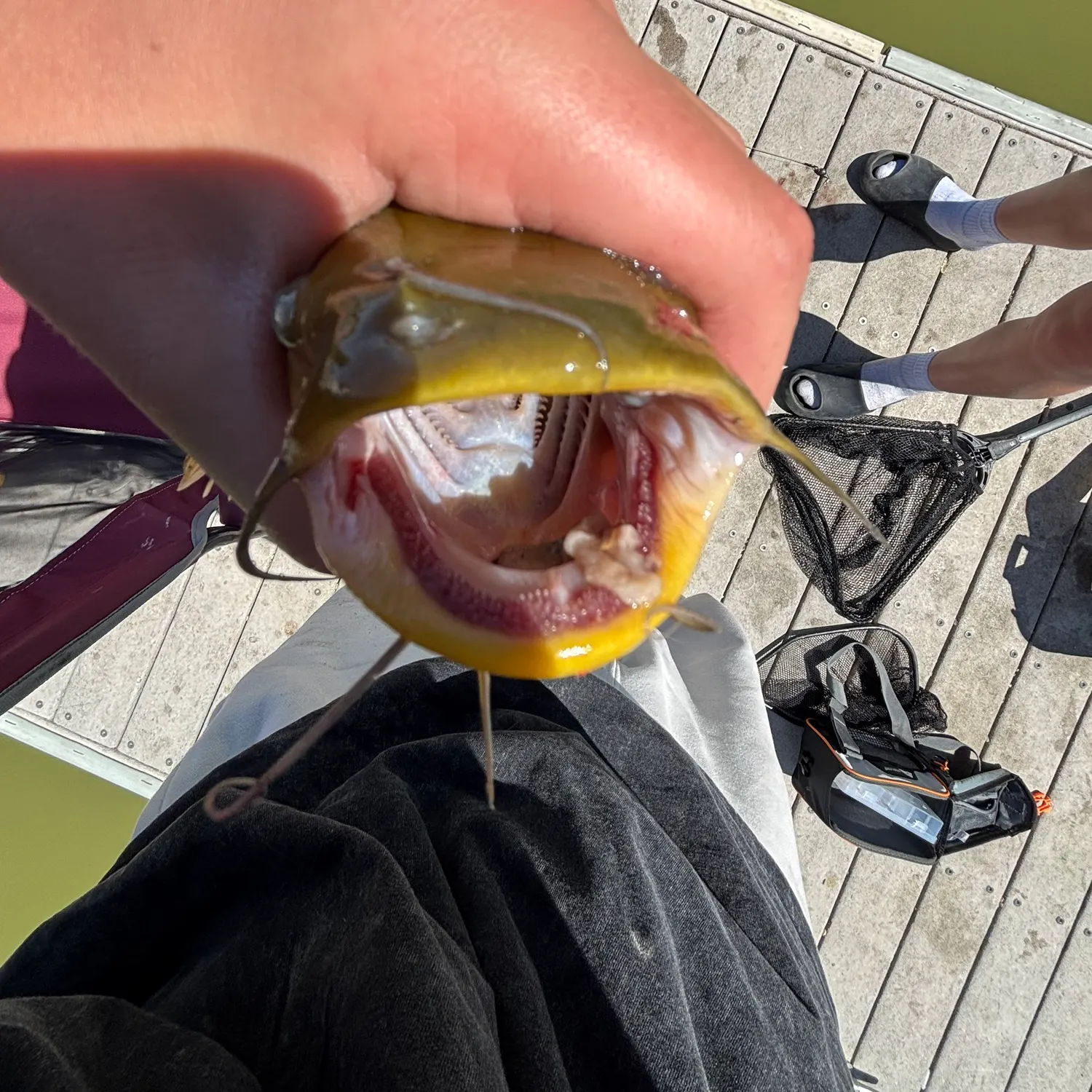 catch