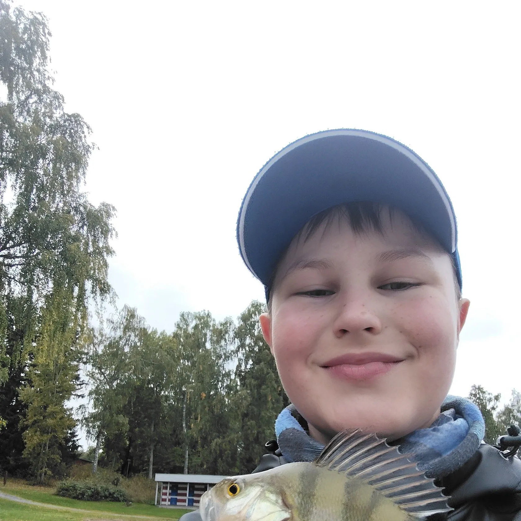 European perch caught on Fishbrain