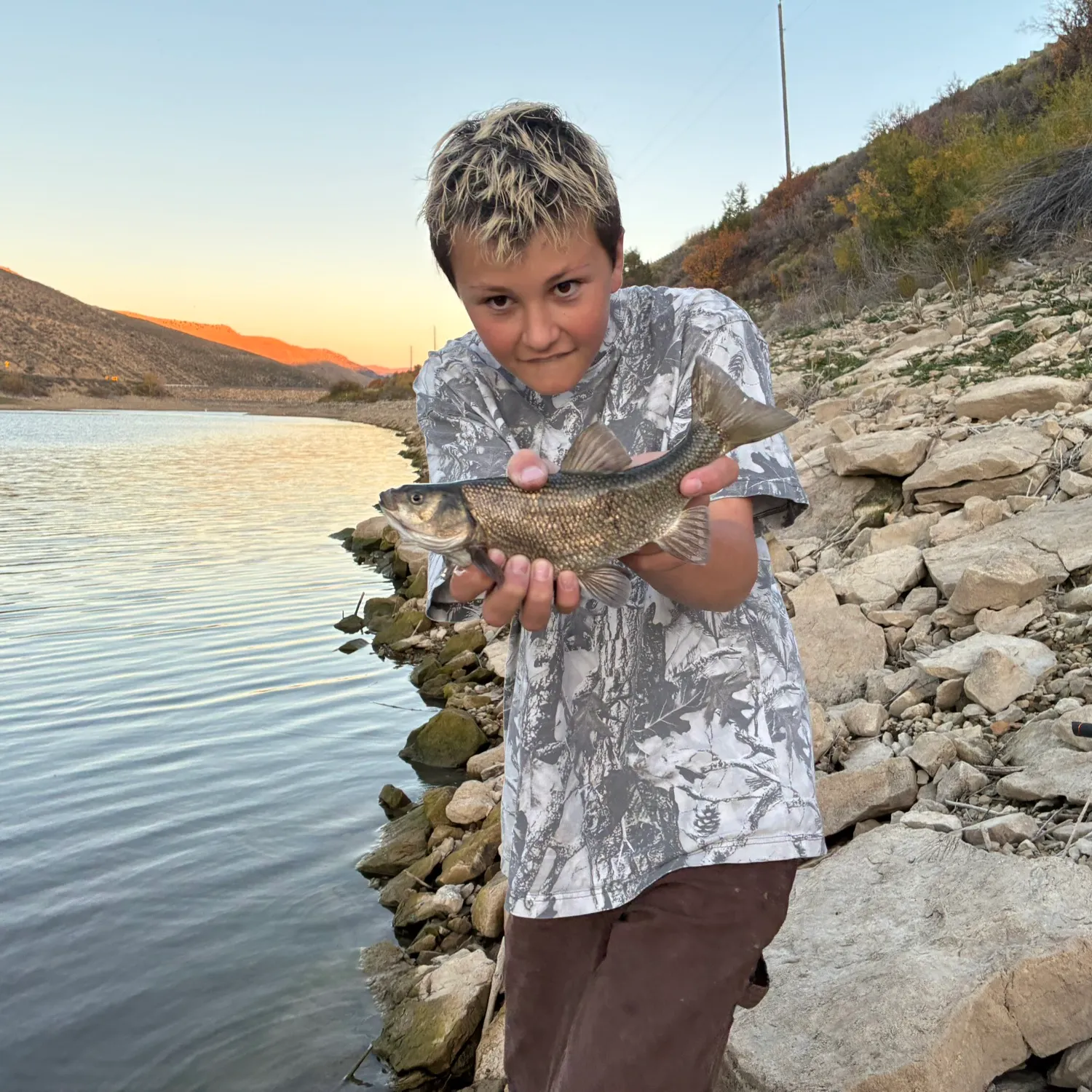 Utah chub caught on Fishbrain