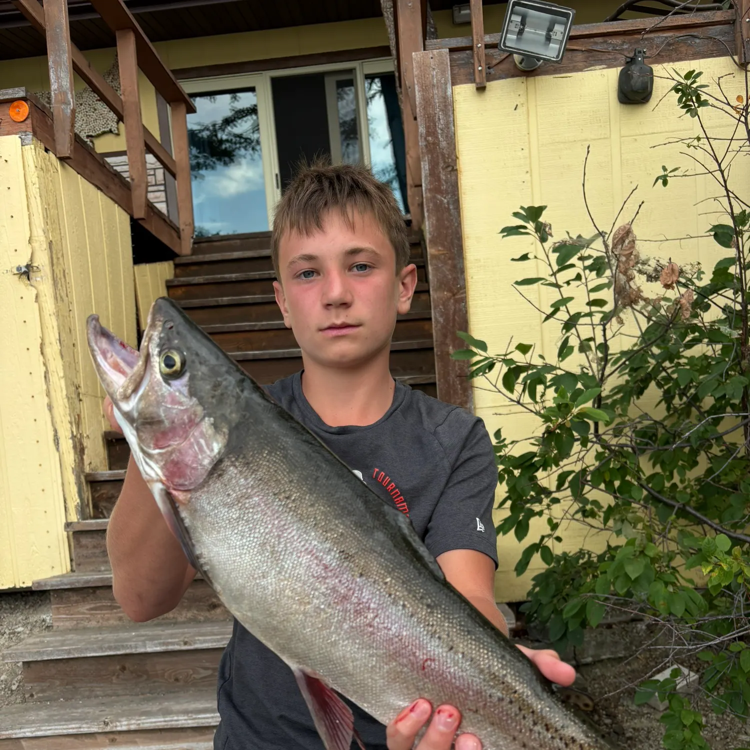 Rainbow trout caught on Fishbrain