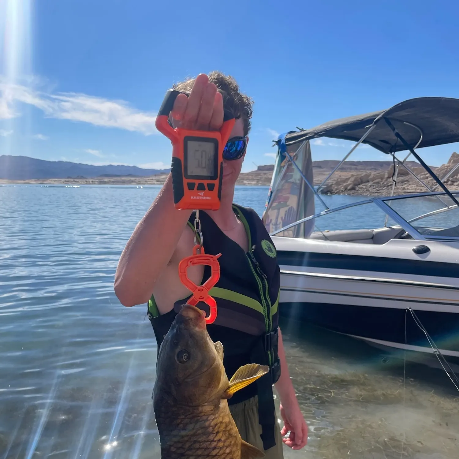 Common carp caught on Fishbrain