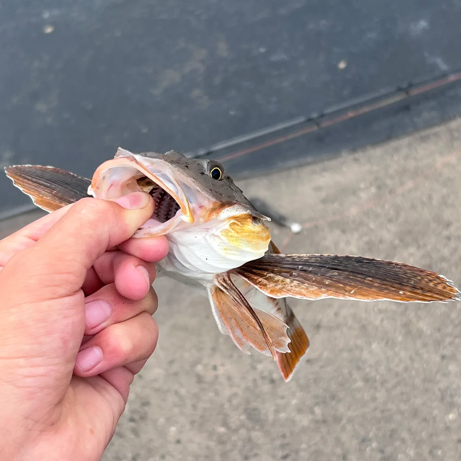 catch