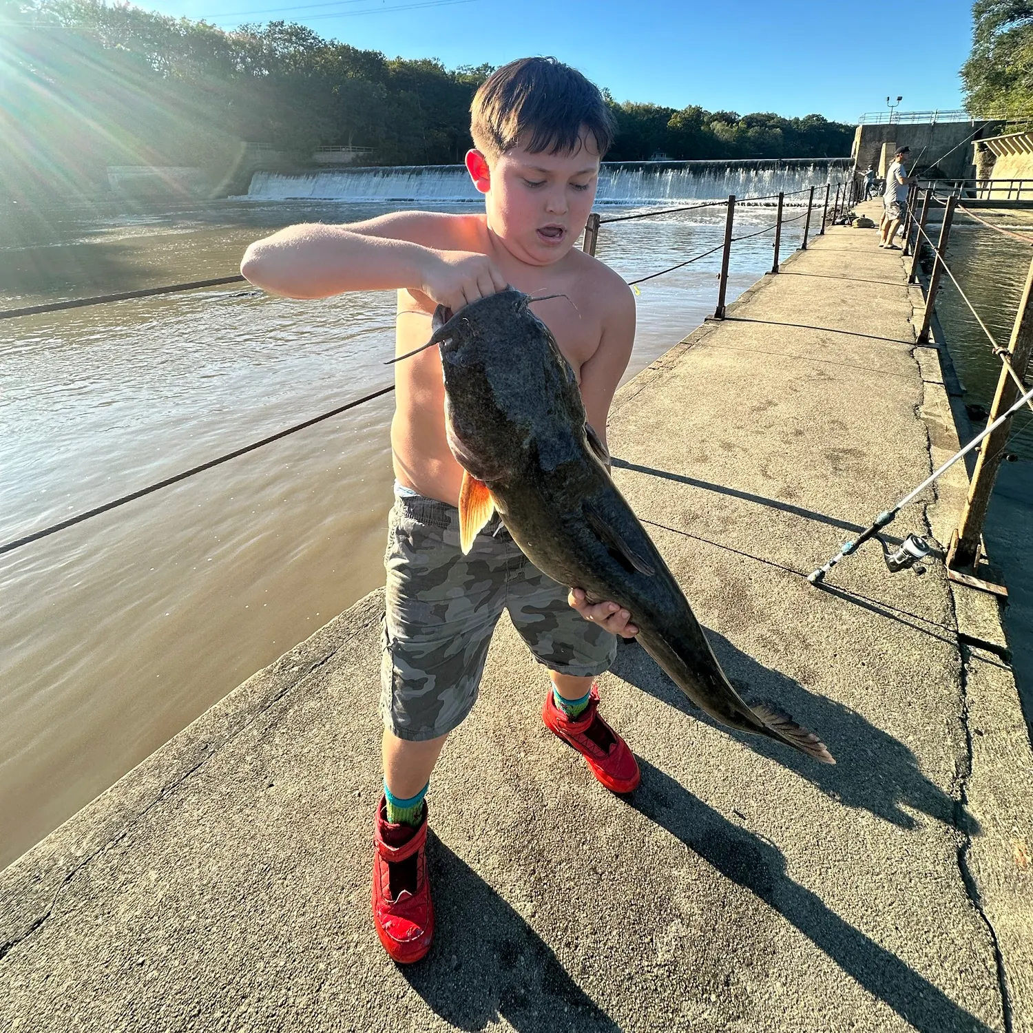Flathead catfish caught on Fishbrain