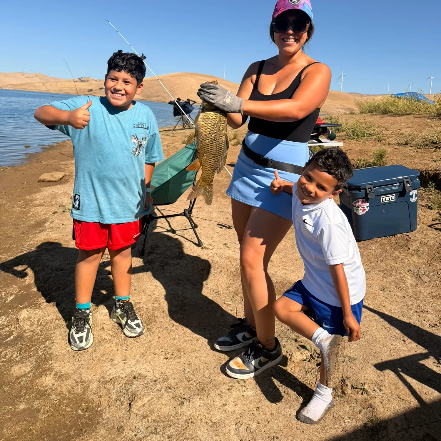 Common carp caught on Fishbrain