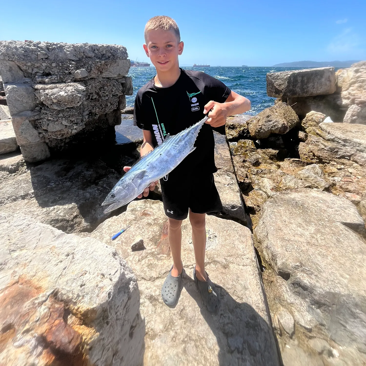 Atlantic bonito caught on Fishbrain