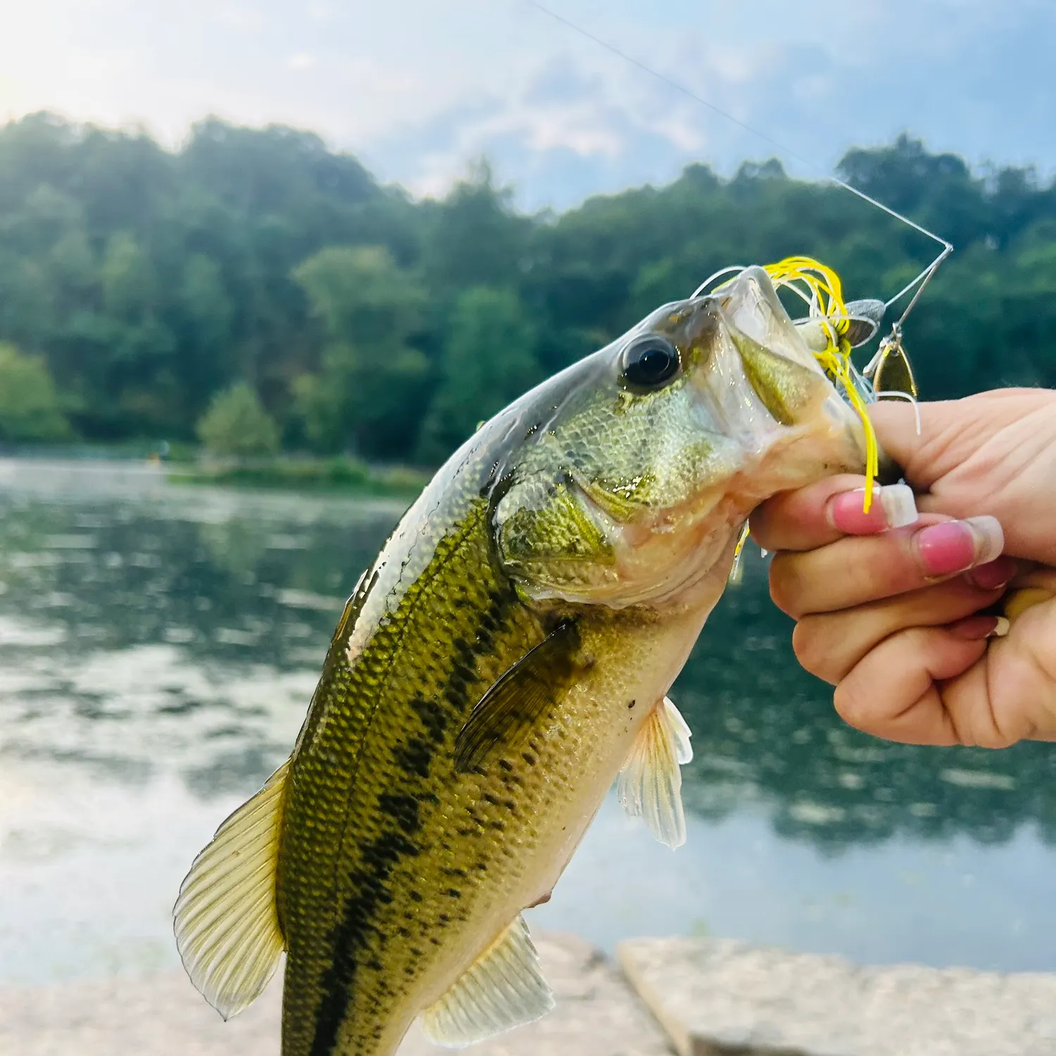 Largemouth bass caught on Fishbrain