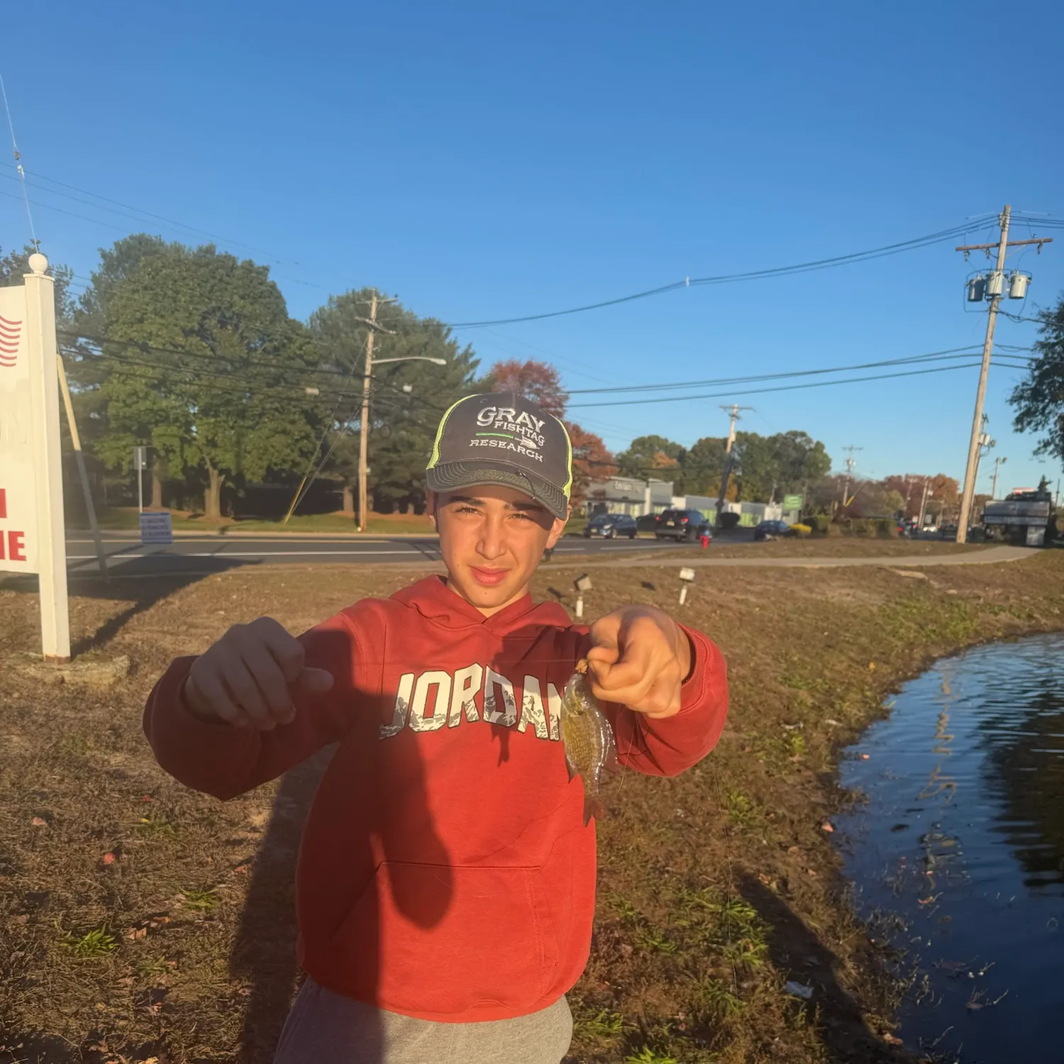 Bluegill caught on Fishbrain