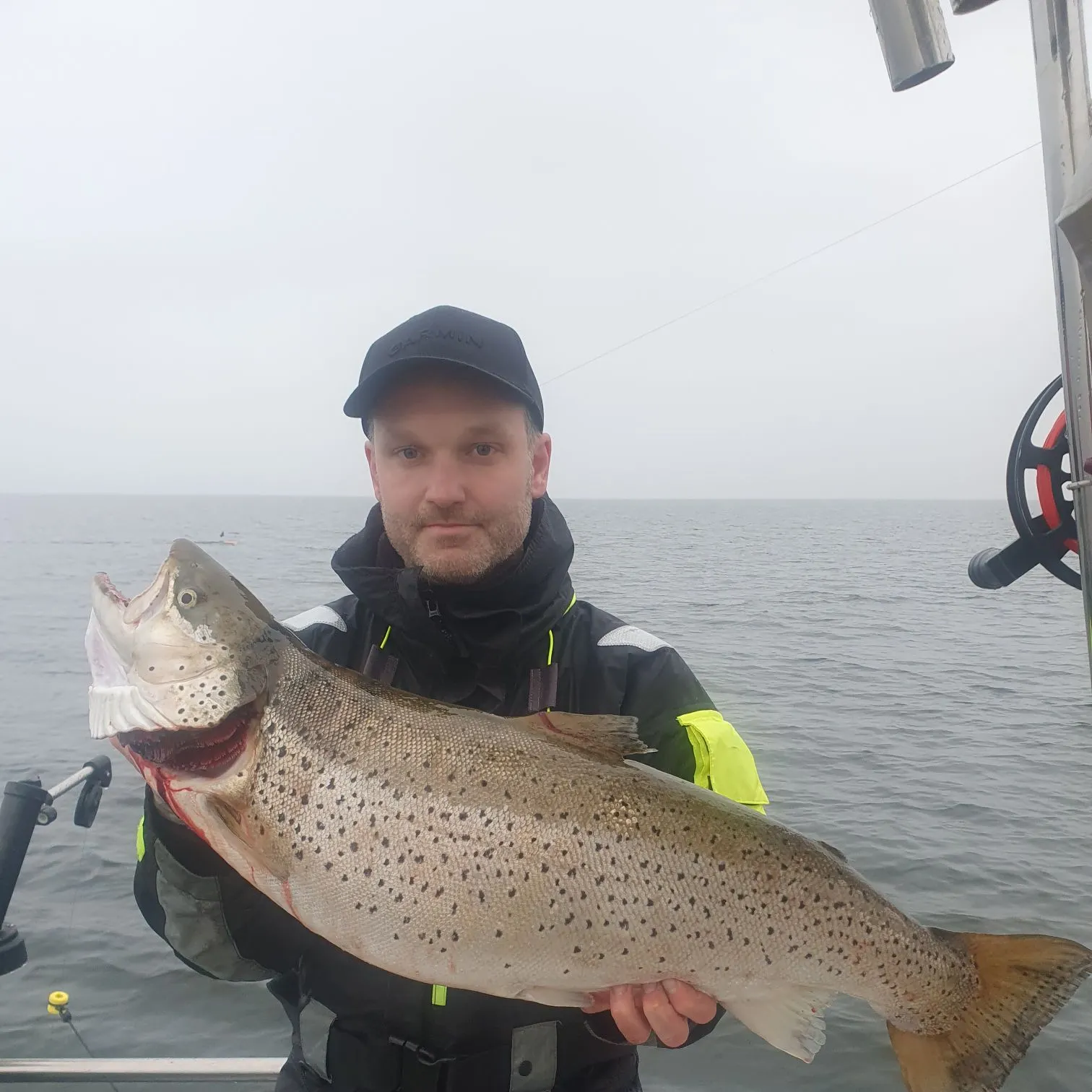 The most recent Lake trout catches on Fishbrain