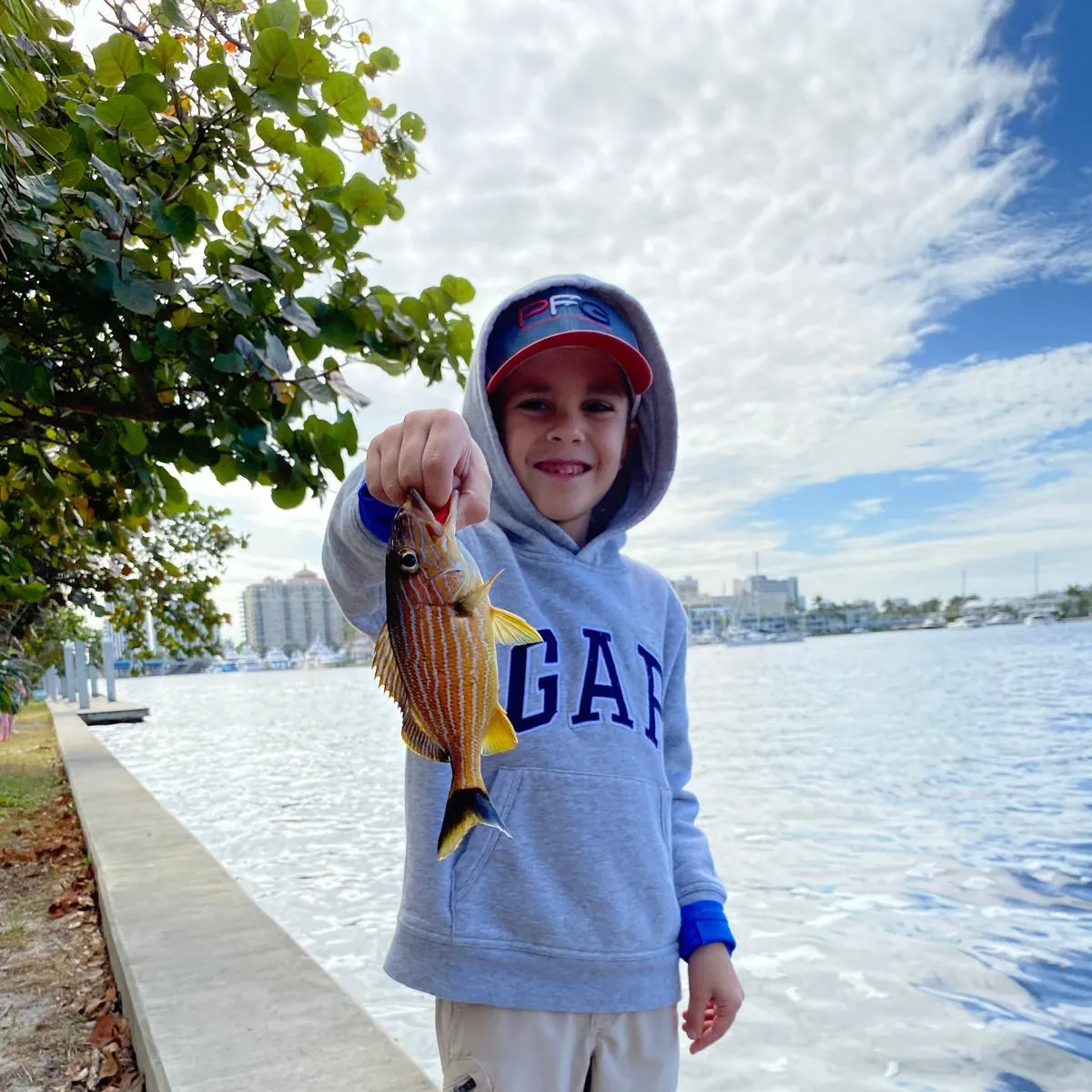 The most recent Bluestriped grunt catches on Fishbrain
