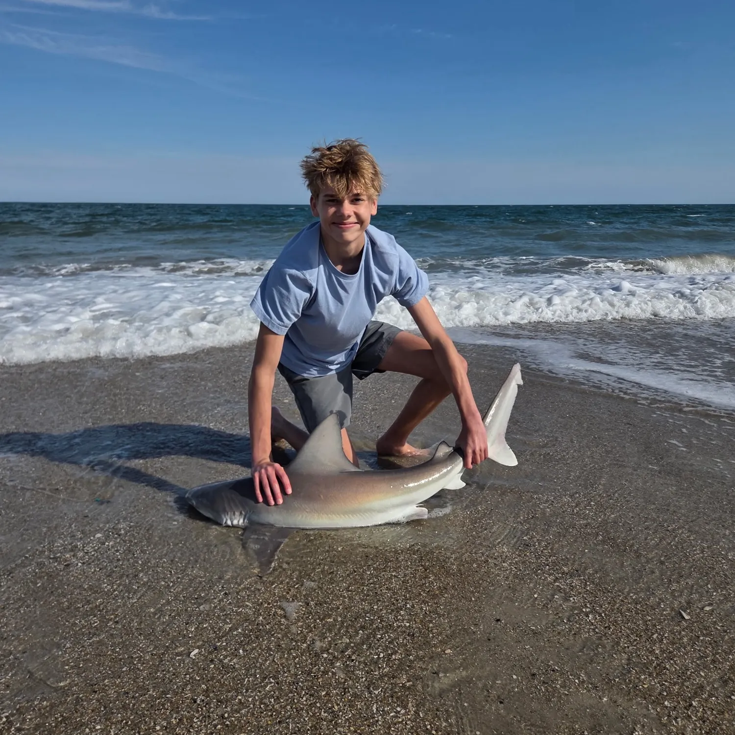The most recent Sandbar shark catches on Fishbrain