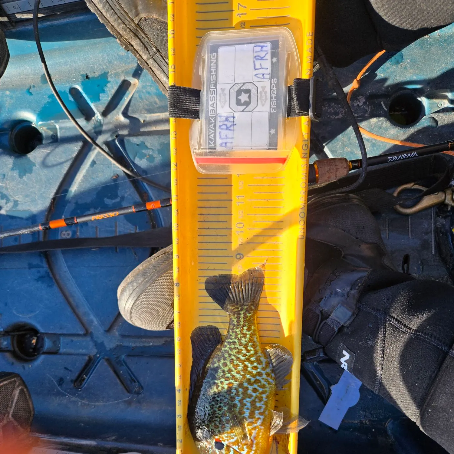 recently logged catches