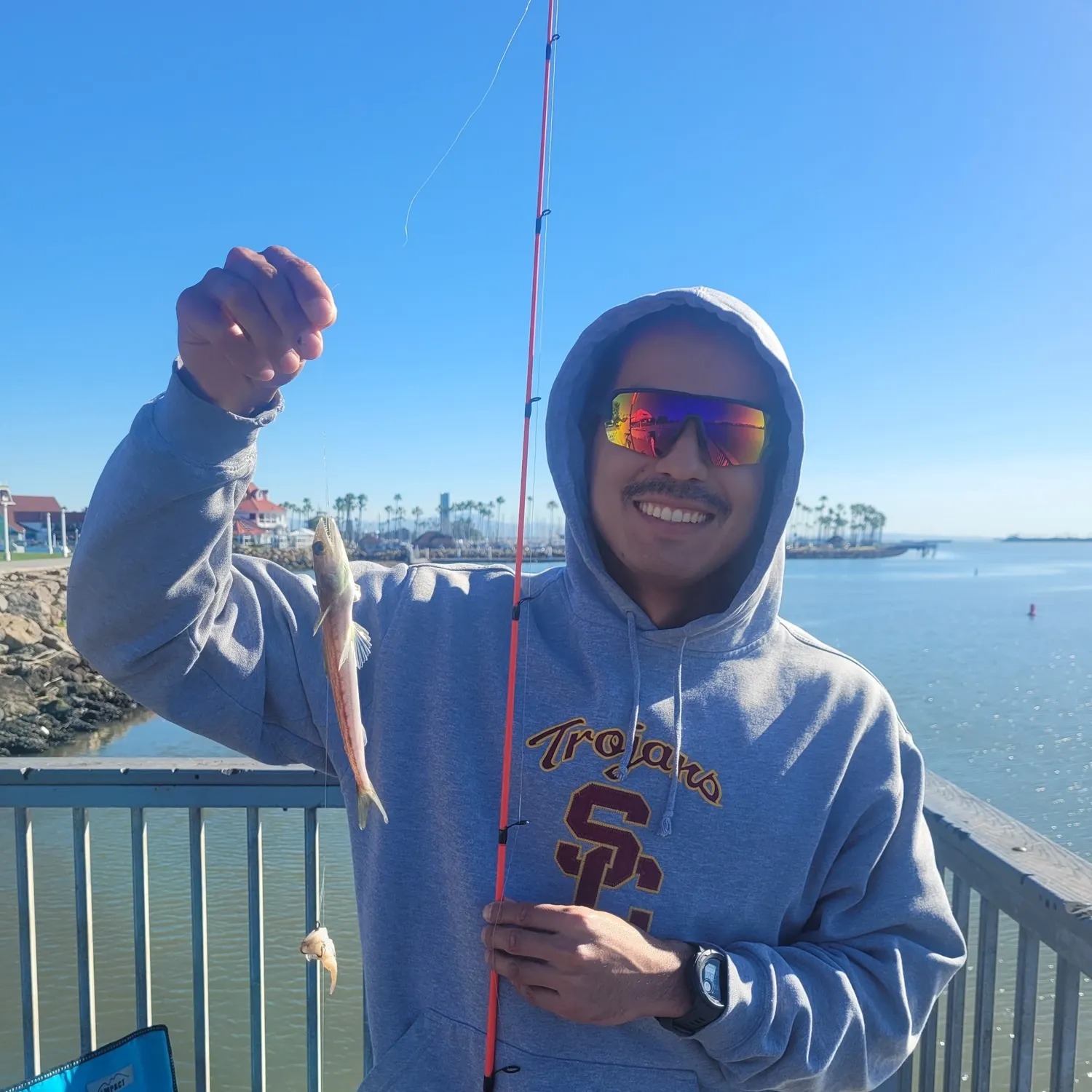 The most recent California lizardfish catches on Fishbrain