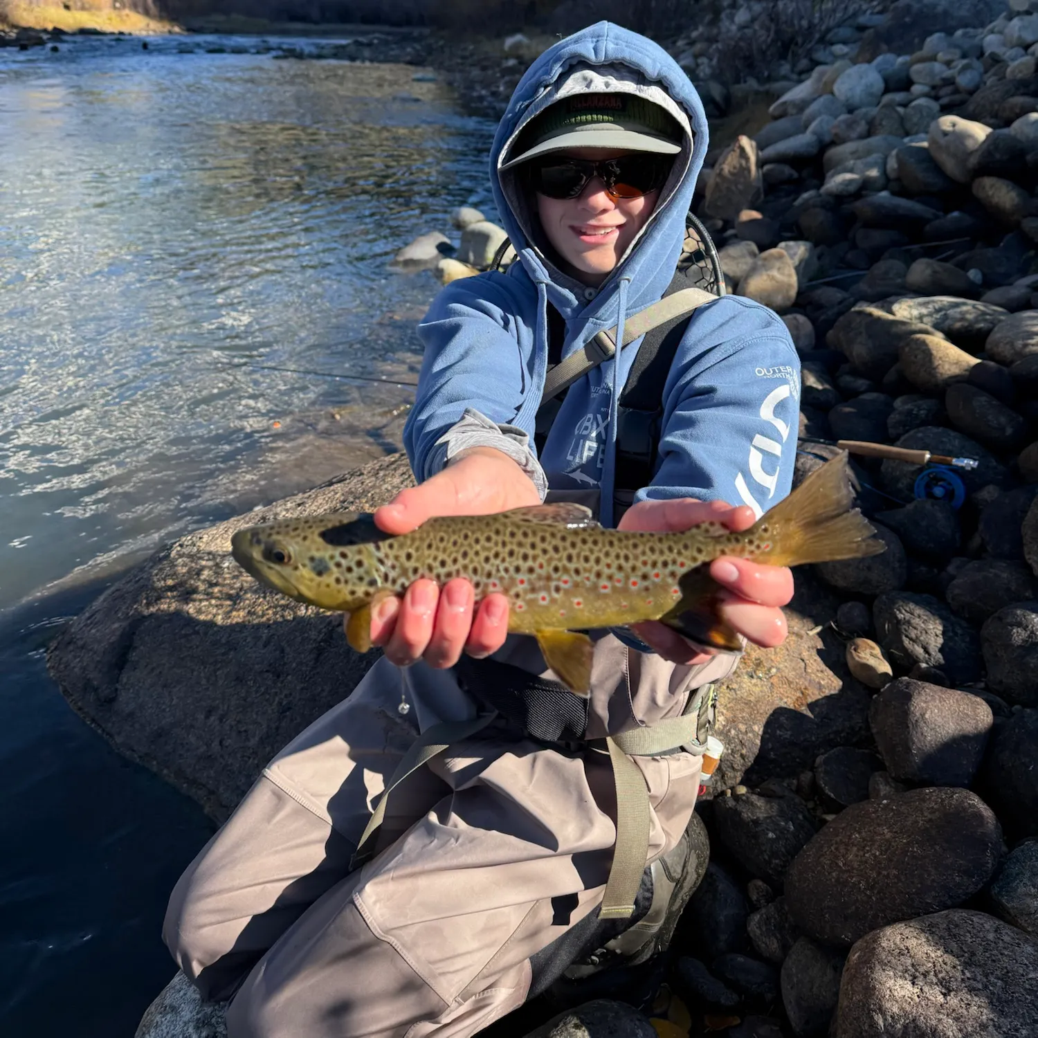 Brown trout caught on Fishbrain
