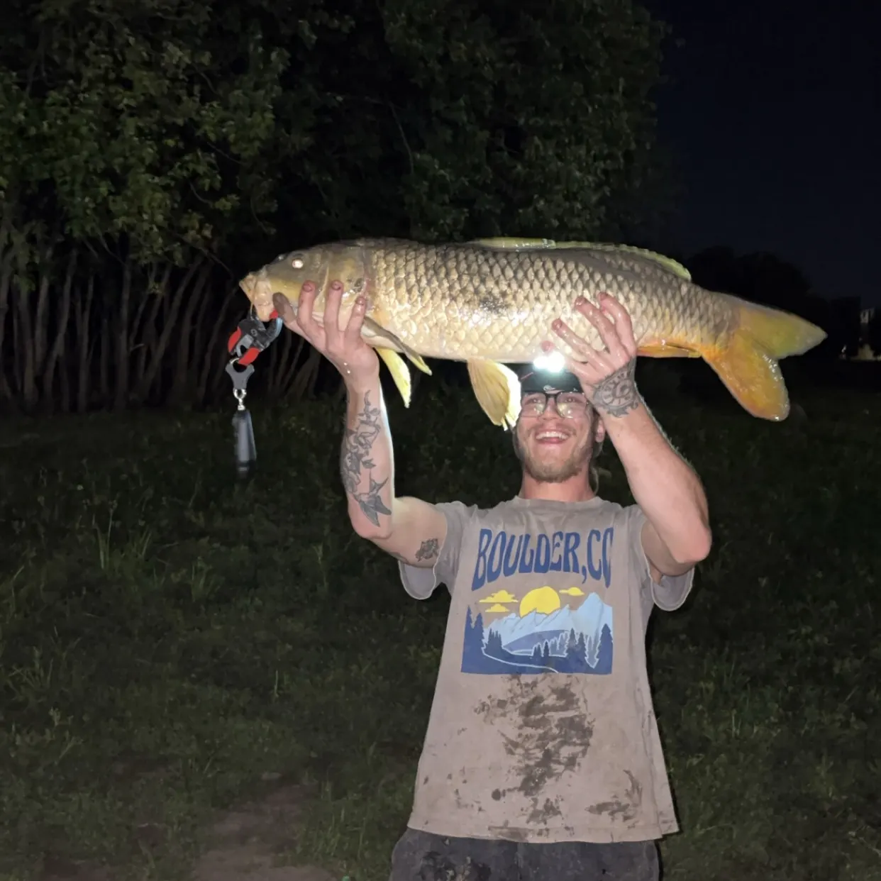 Common carp caught on Fishbrain