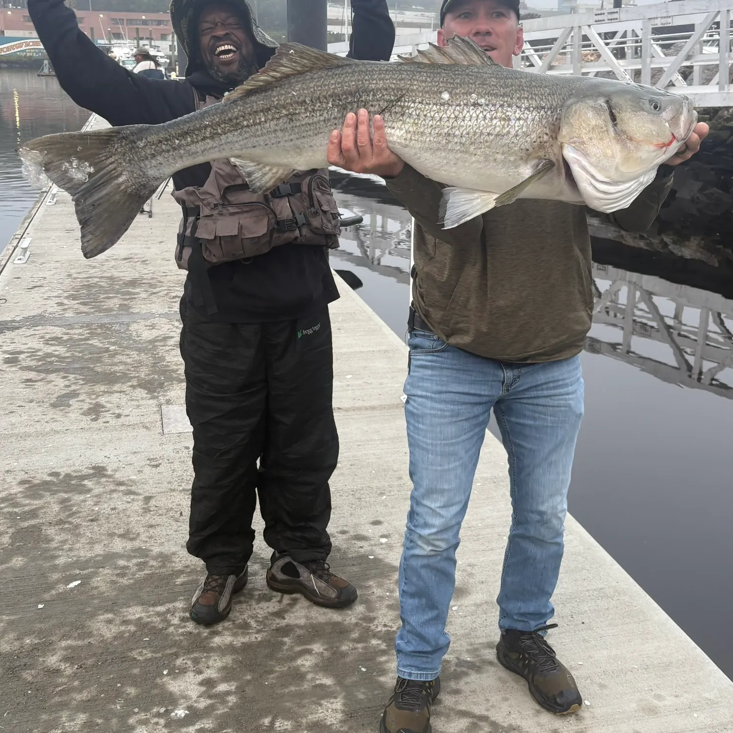 Striped bass caught on Fishbrain