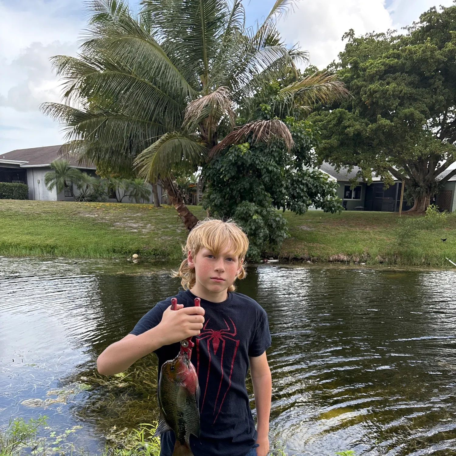 The most recent Redhead cichlid catches on Fishbrain