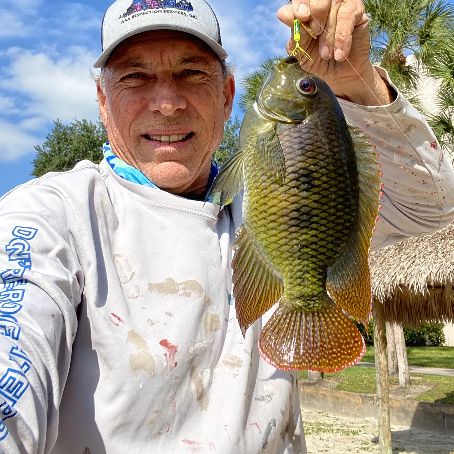 The most recent Spotted tilapia catches on Fishbrain