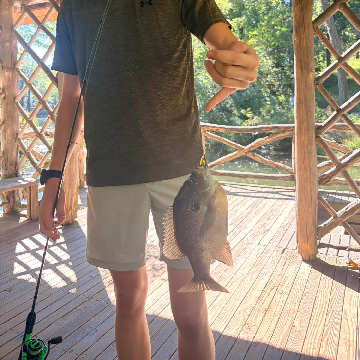 Fish caught on Fishbrain